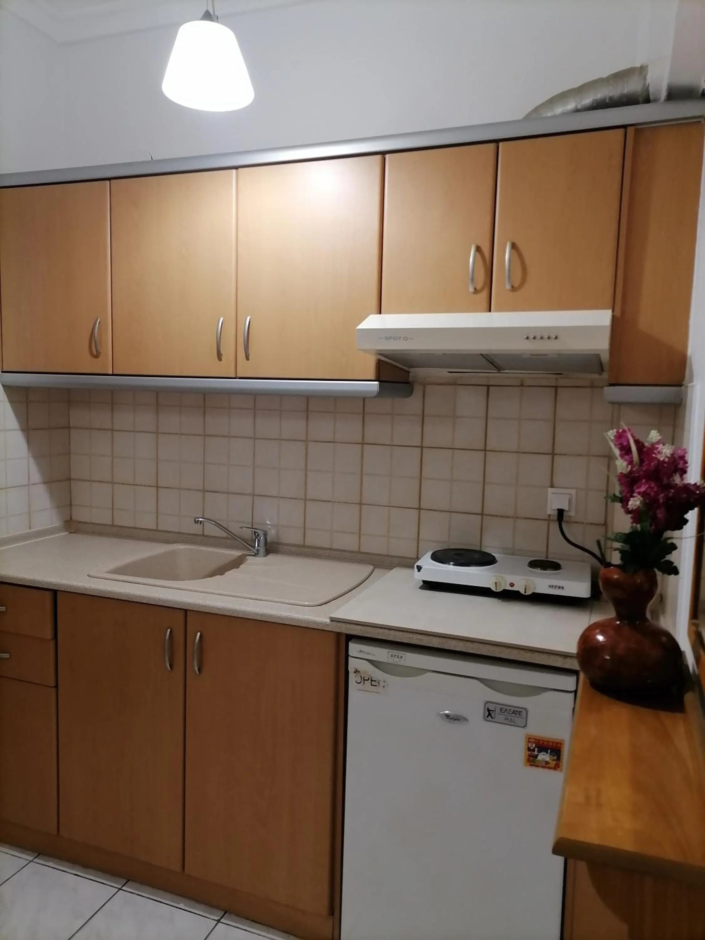 Kitchen or kitchenette in Hotel Exarhos