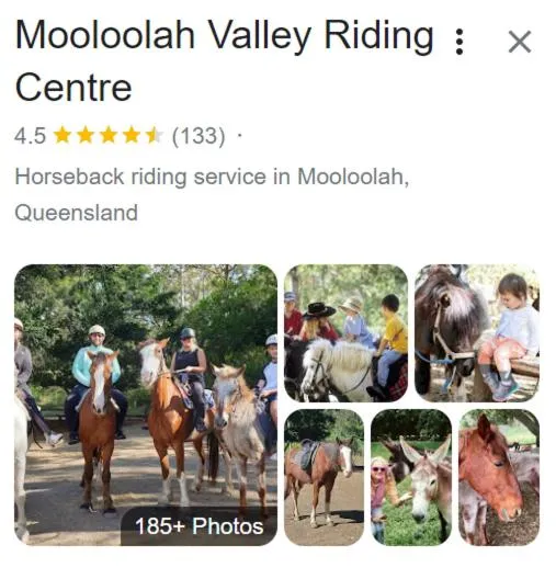 Horse-riding in Excellsior Apartments