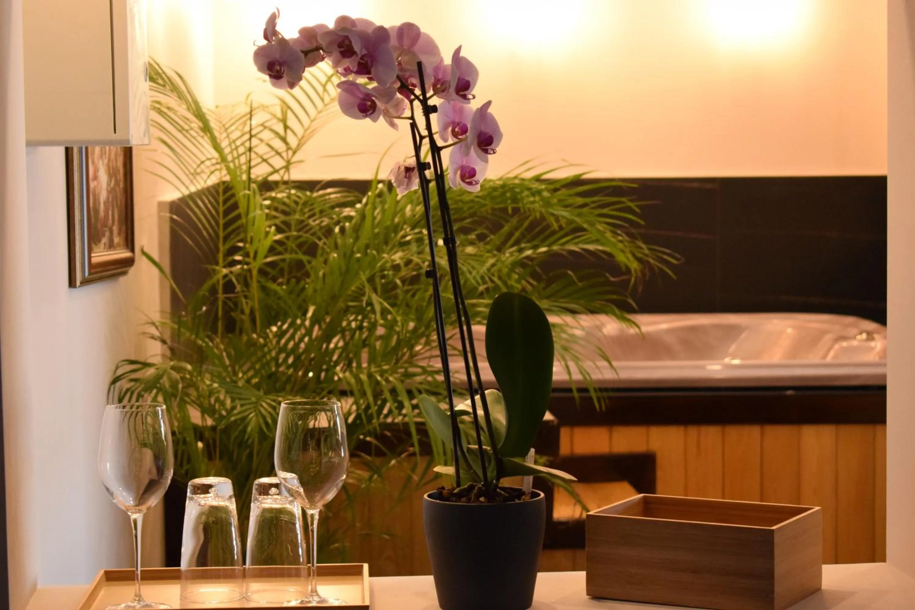 Hot Tub in Bahus Inn