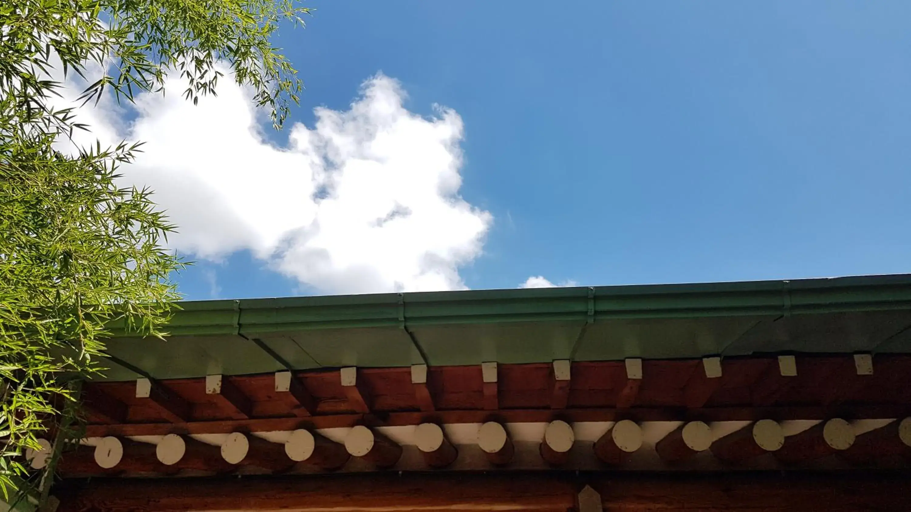 Natural landscape in Gongsimga Hanok Guesthouse Natural landscape in Gongsimga Hanok Guesthouse