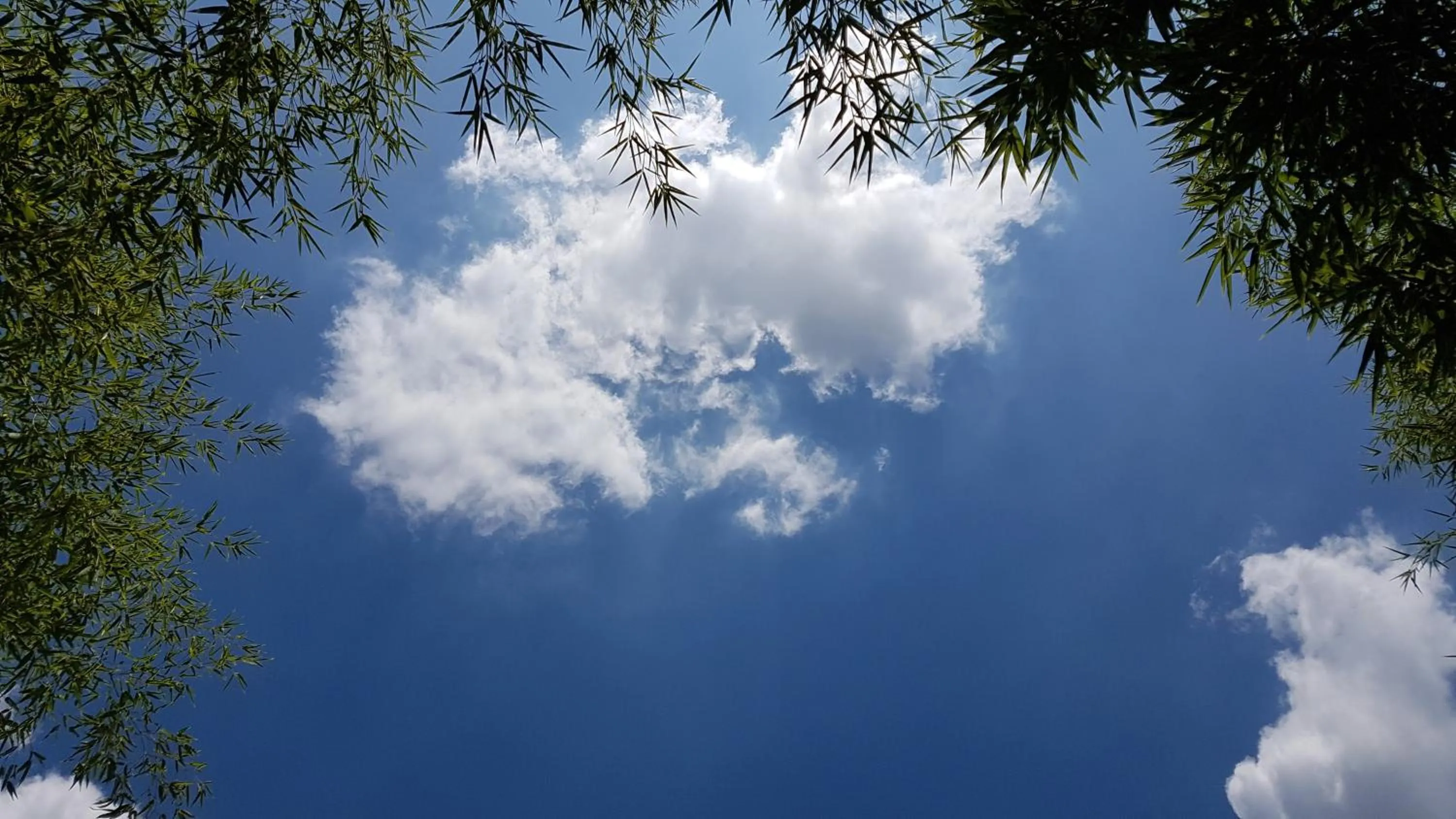 Garden in Gongsimga Hanok Guesthouse