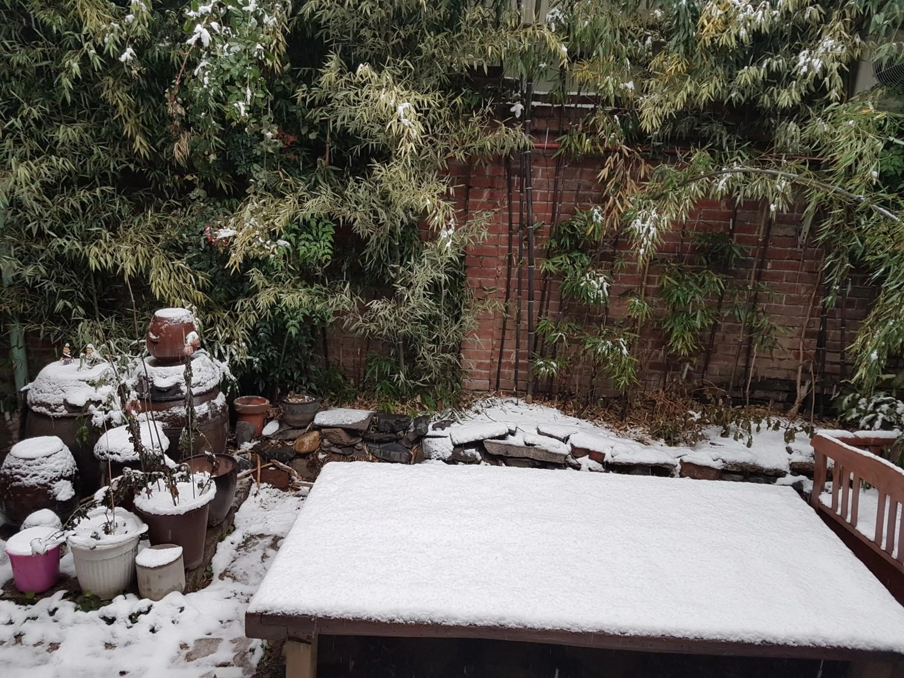 Garden view in Gongsimga Hanok Guesthouse