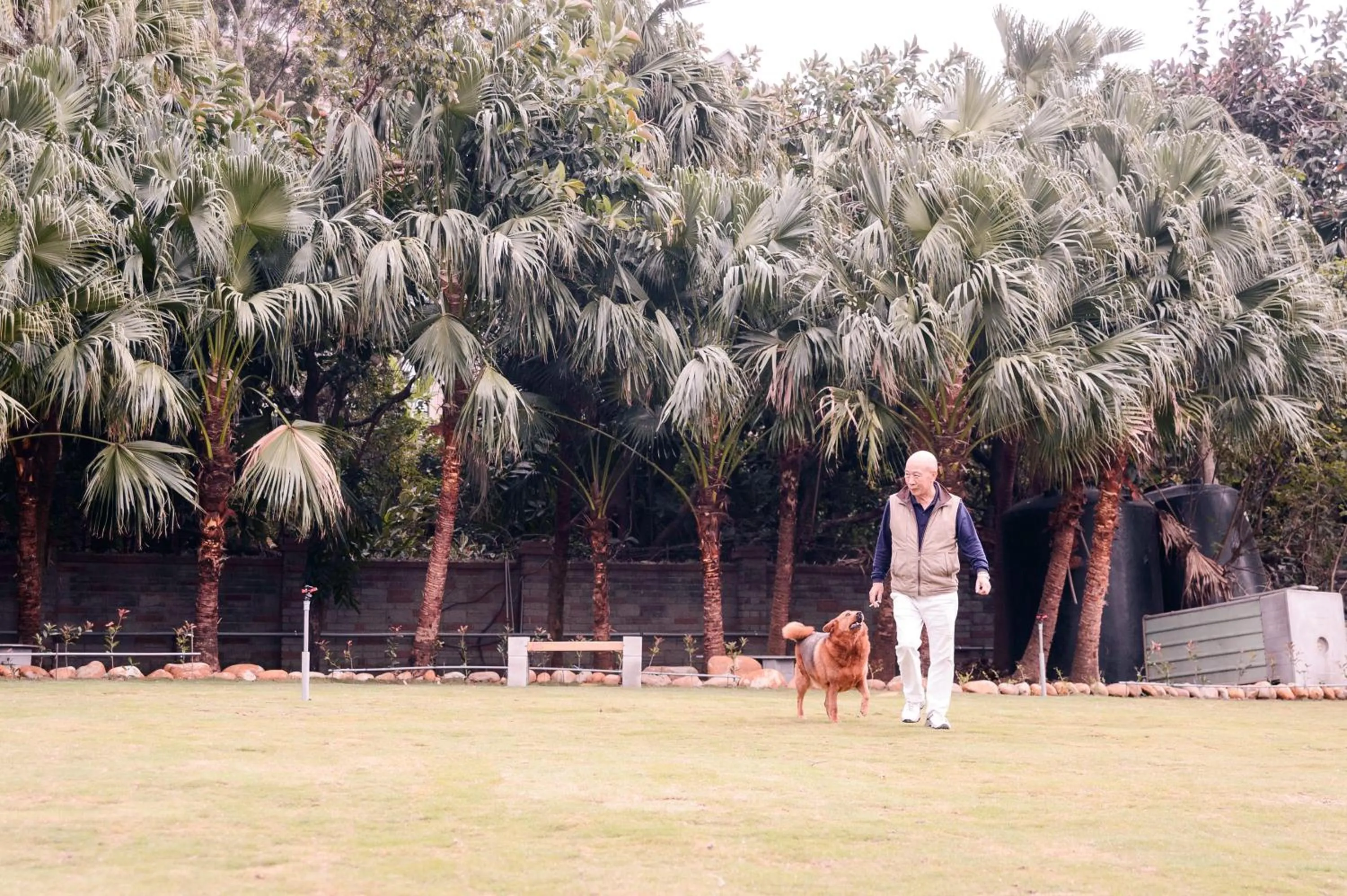 Garden in Guest Motel-Zhubei
