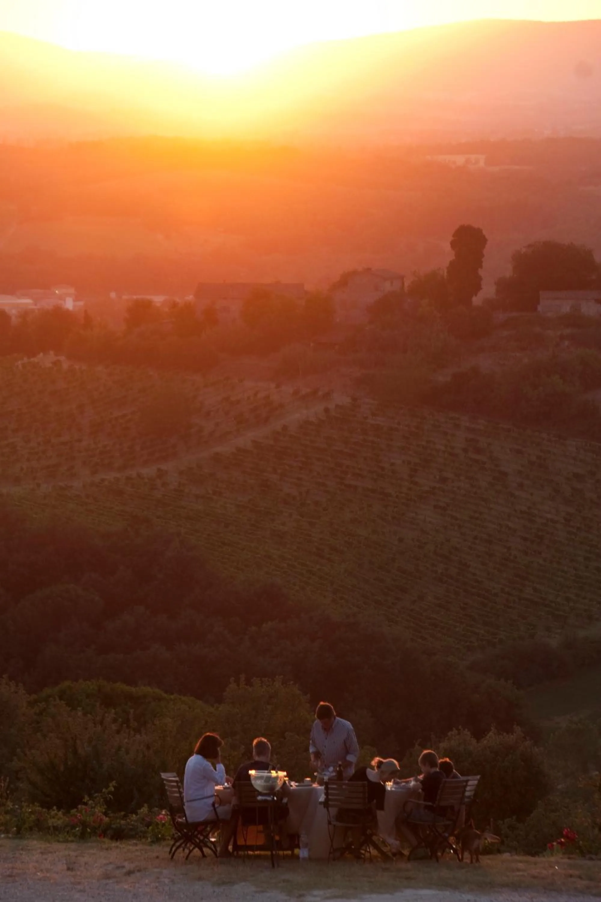 Natural landscape in Villa Montecastello
