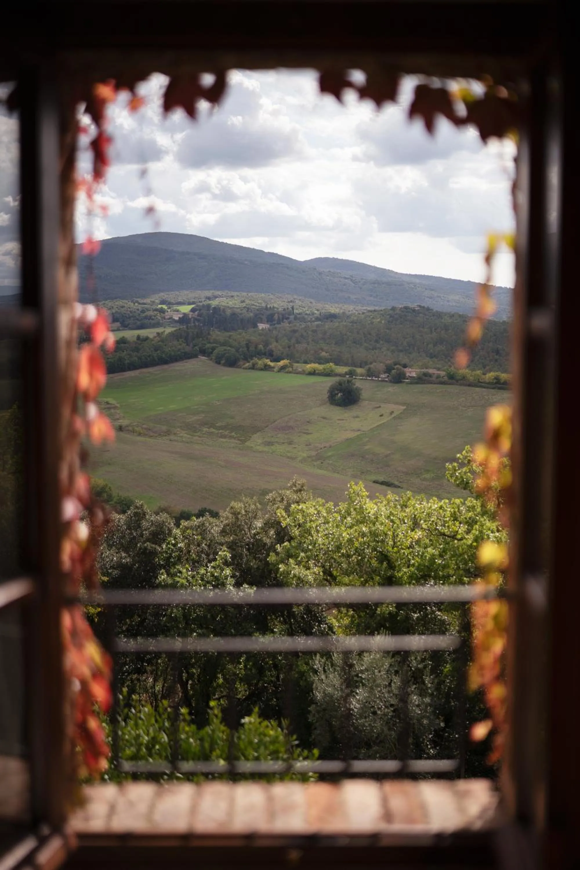 View (from property/room) in Villa Montecastello