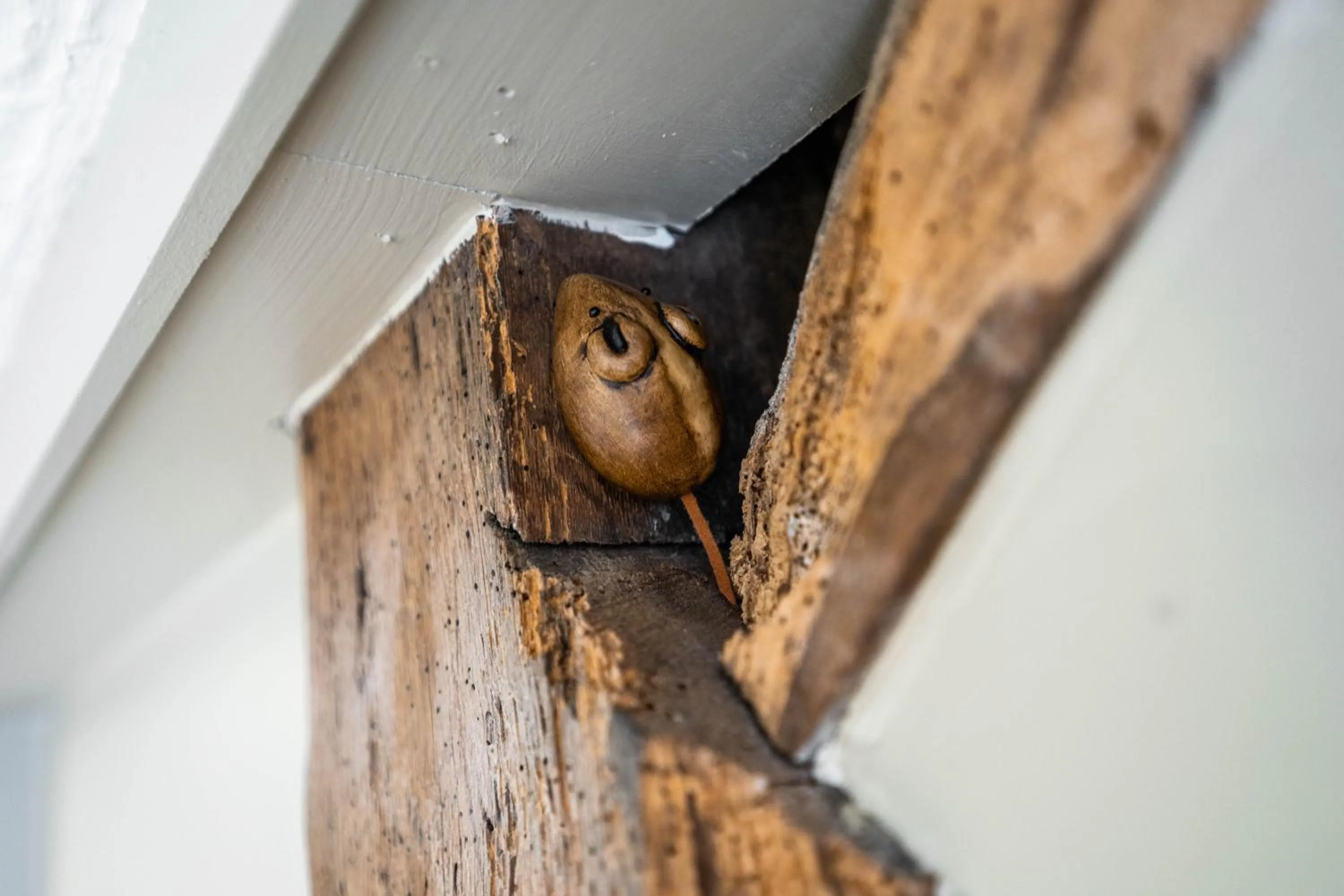 Decorative detail in Black Horse Hotel
