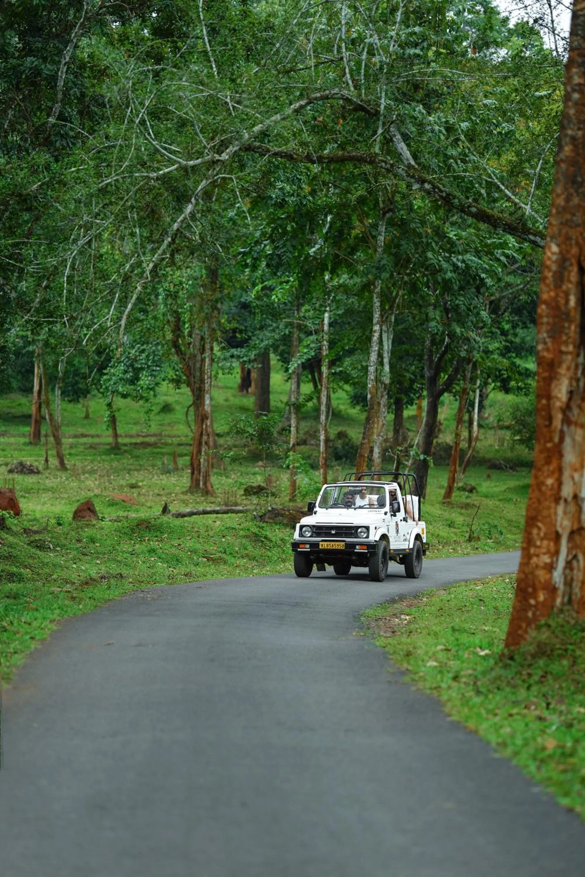 Activities in Kuruva Island Resort And Spa - By KABINI BREEZE