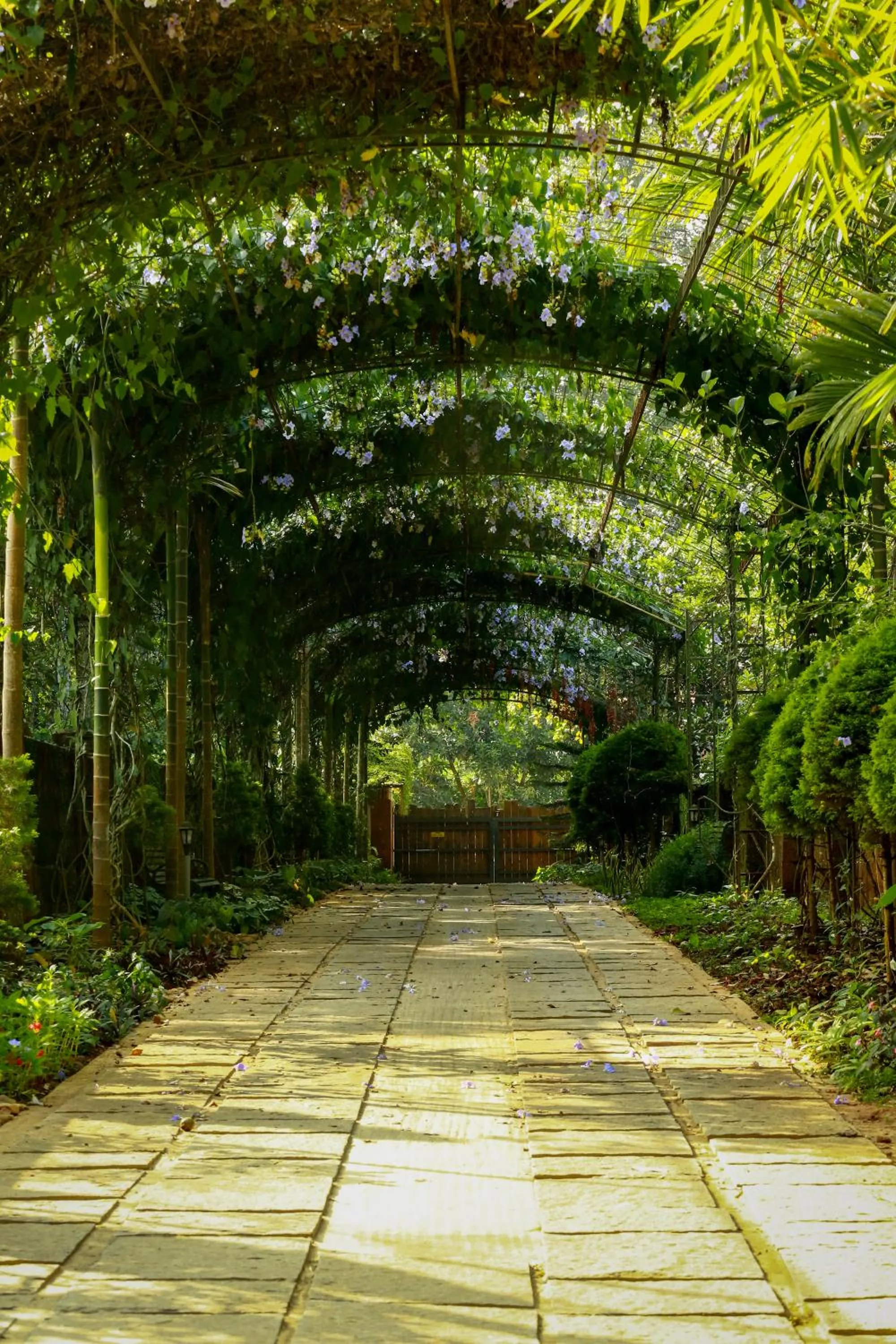 Garden in Kuruva Island Resort And Spa - By KABINI BREEZE