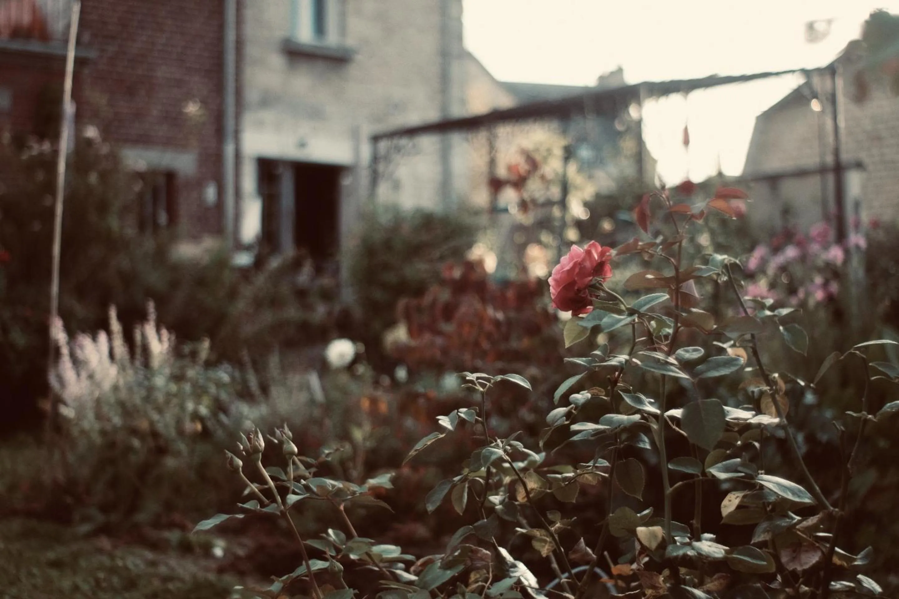 Patio in Chez Ric et Fer