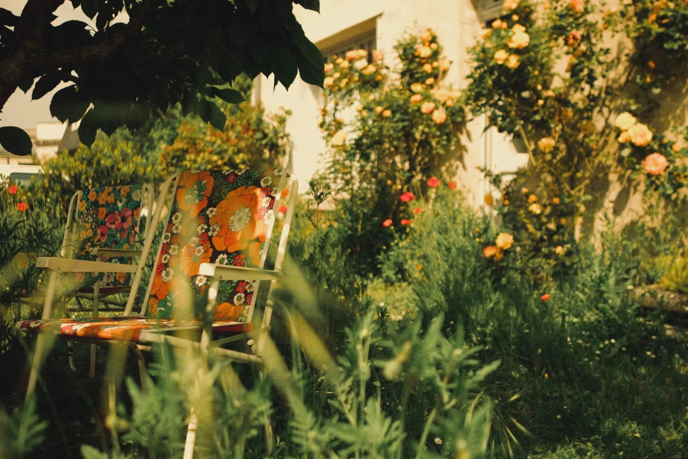 Garden in Chez Ric et Fer