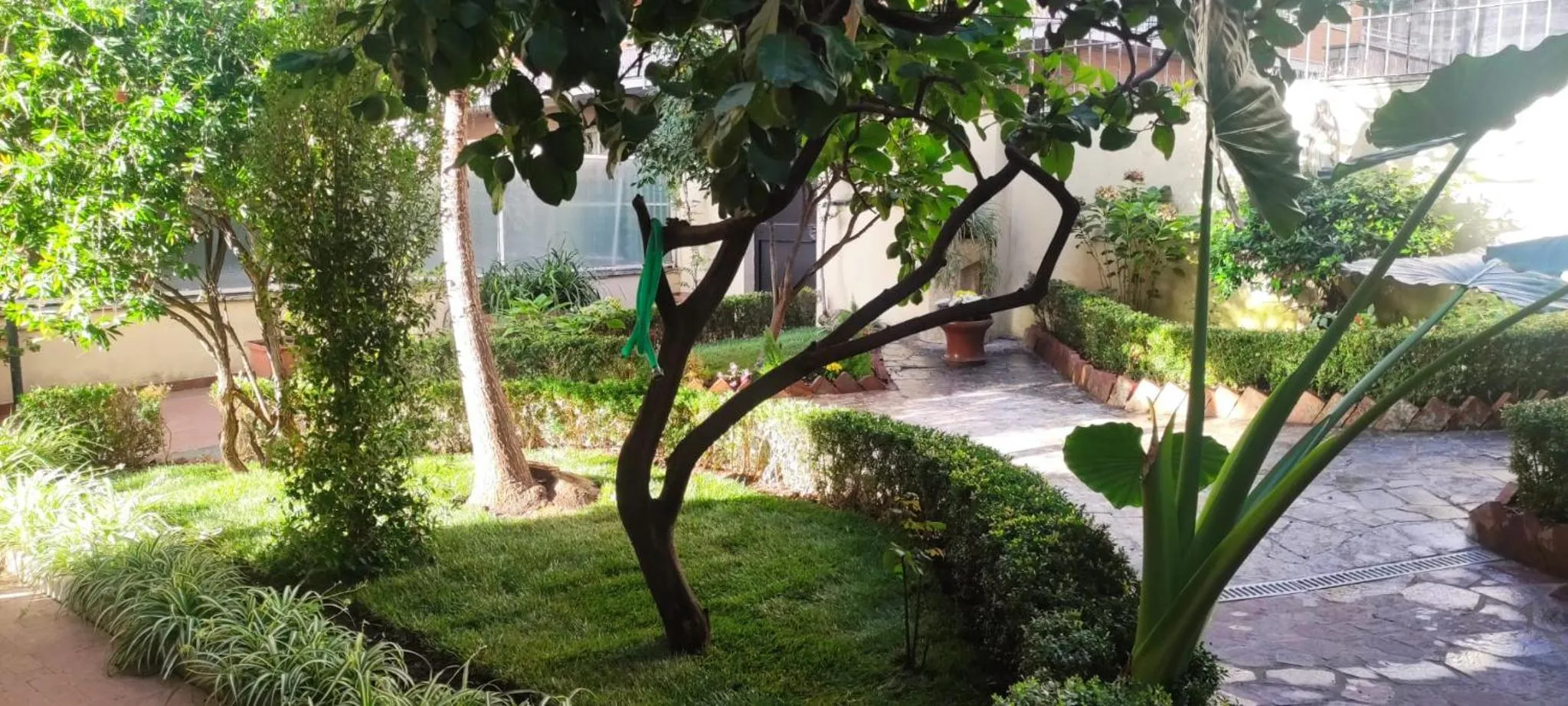 Garden in Villa Angeli