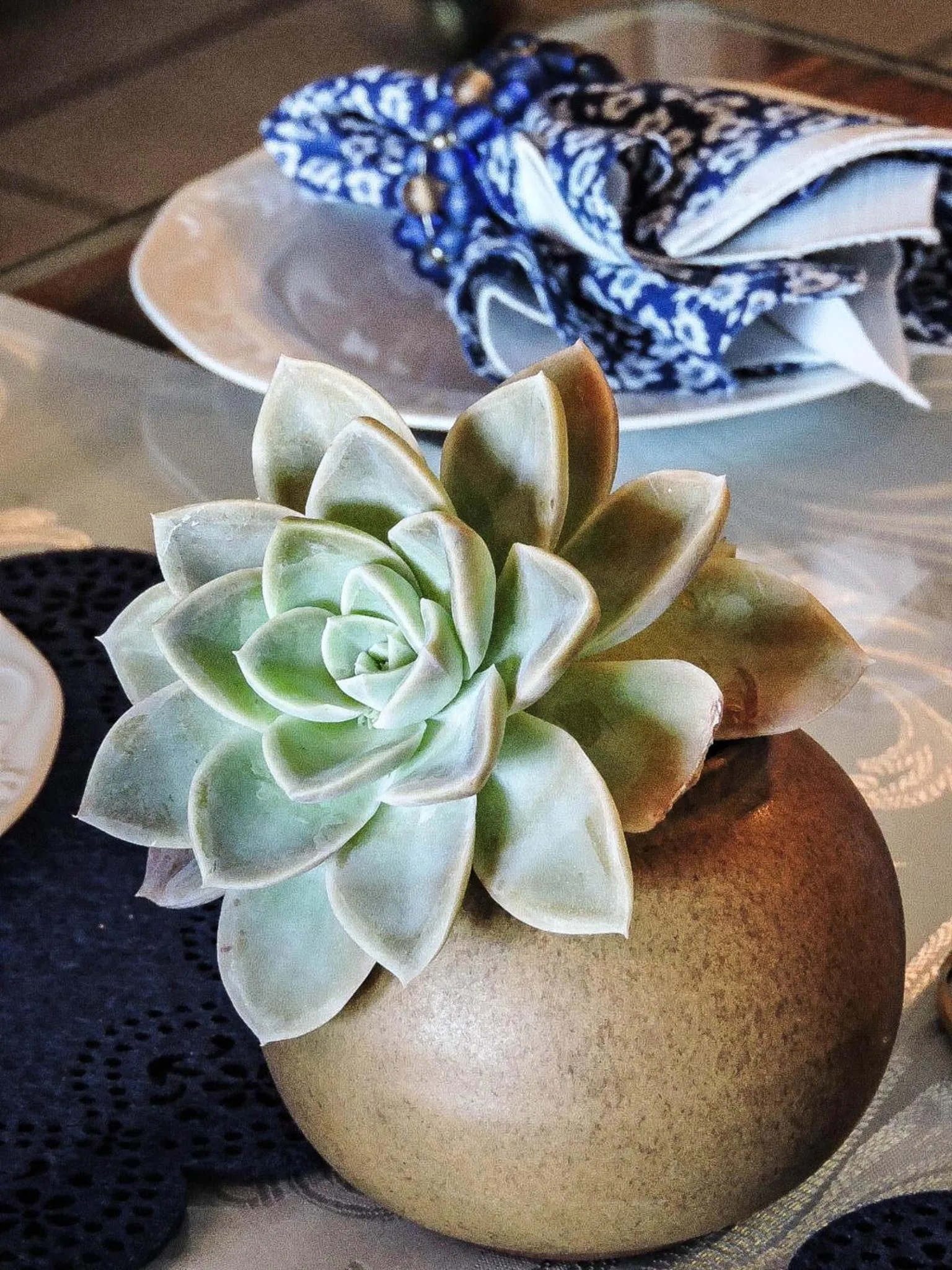 Decorative detail in Amzee Bokmakierie Guest House