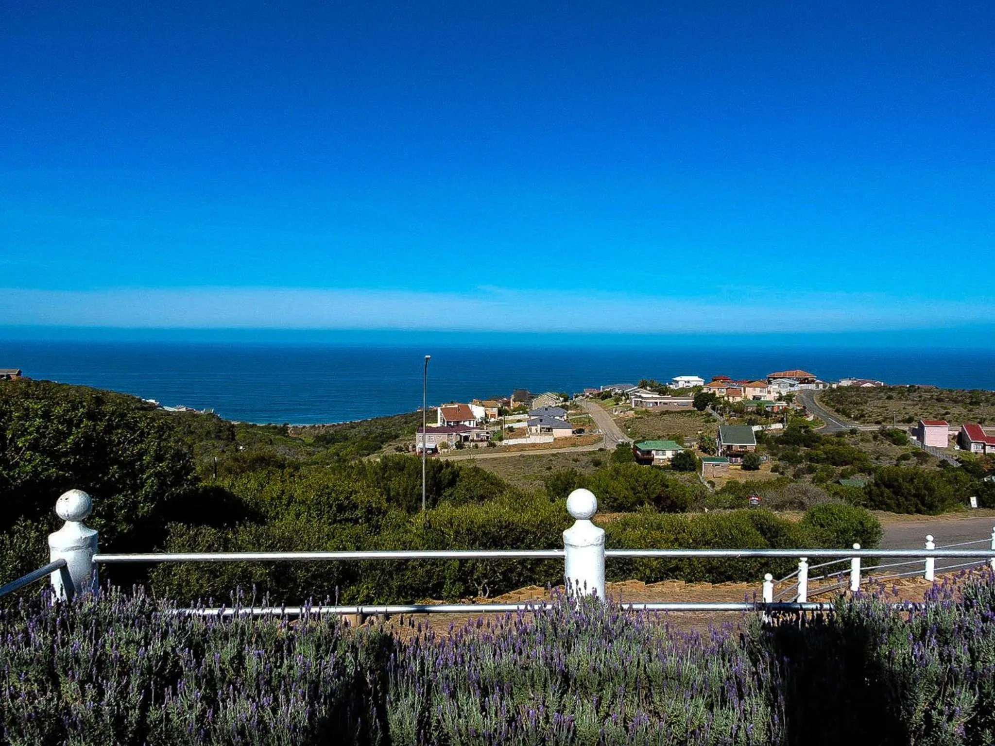 Natural landscape in Amzee Bokmakierie Guest House