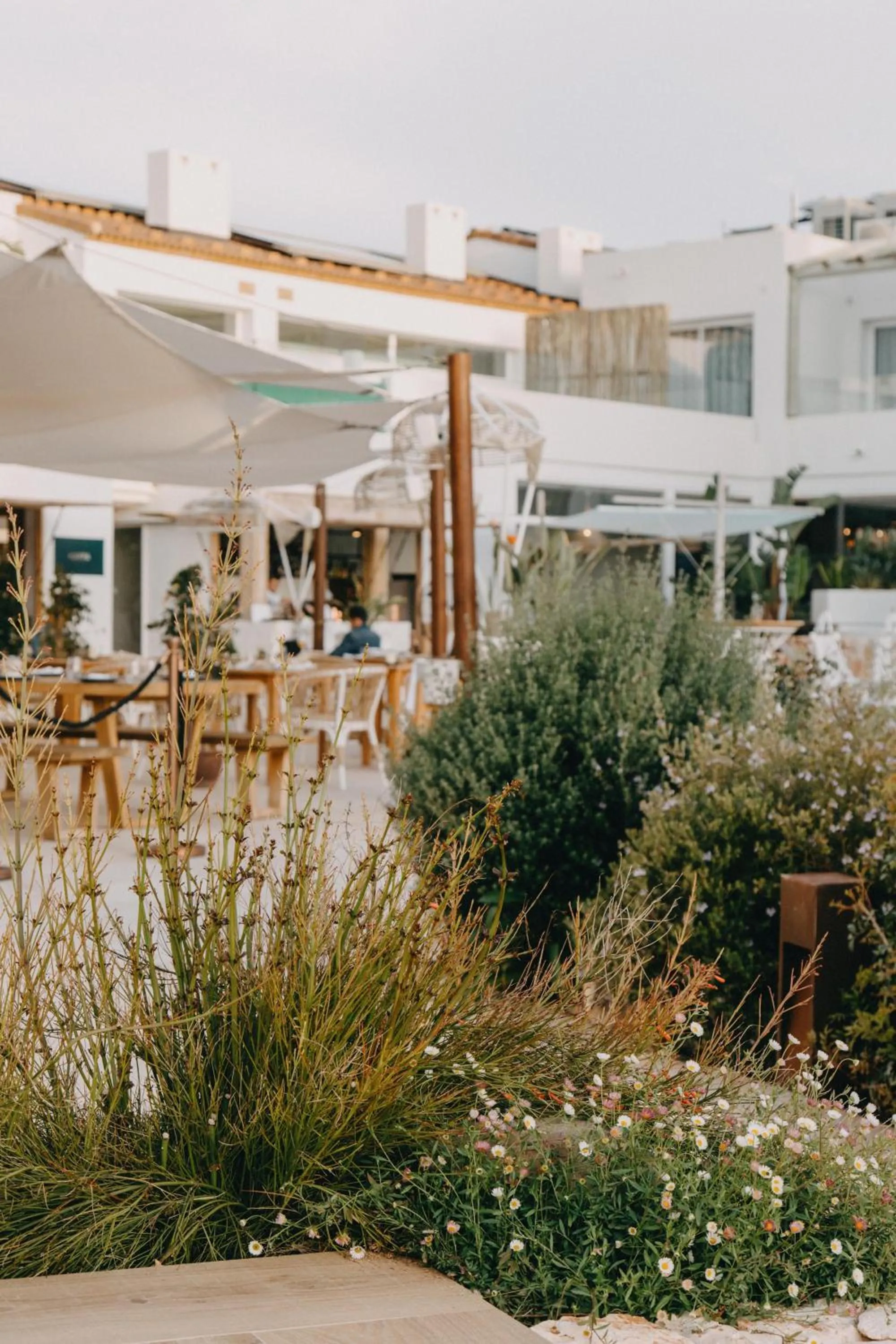 Lobby or reception in Lago Resort Menorca - Suites del Lago Adults Only