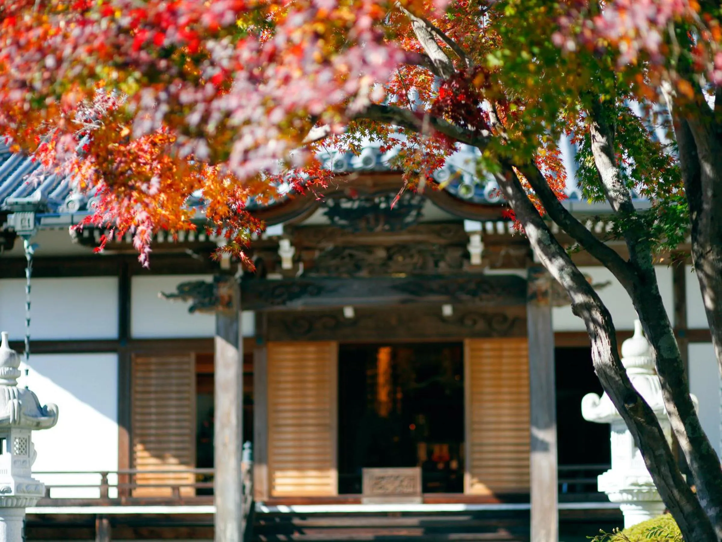 Property building in 宿坊 端場坊｜Temple Hotel Habanobo