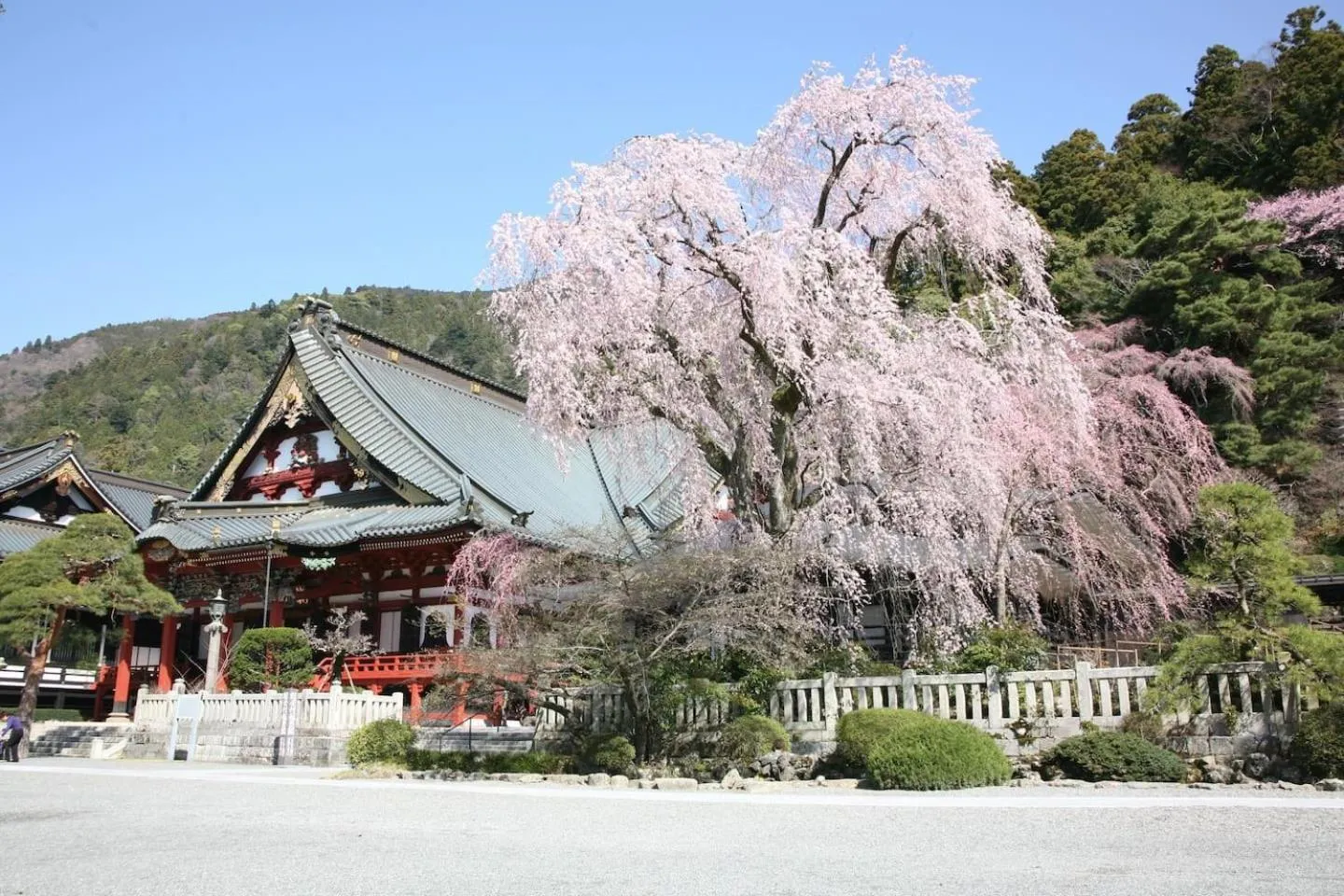 Property building in 宿坊 端場坊｜Temple Hotel Habanobo