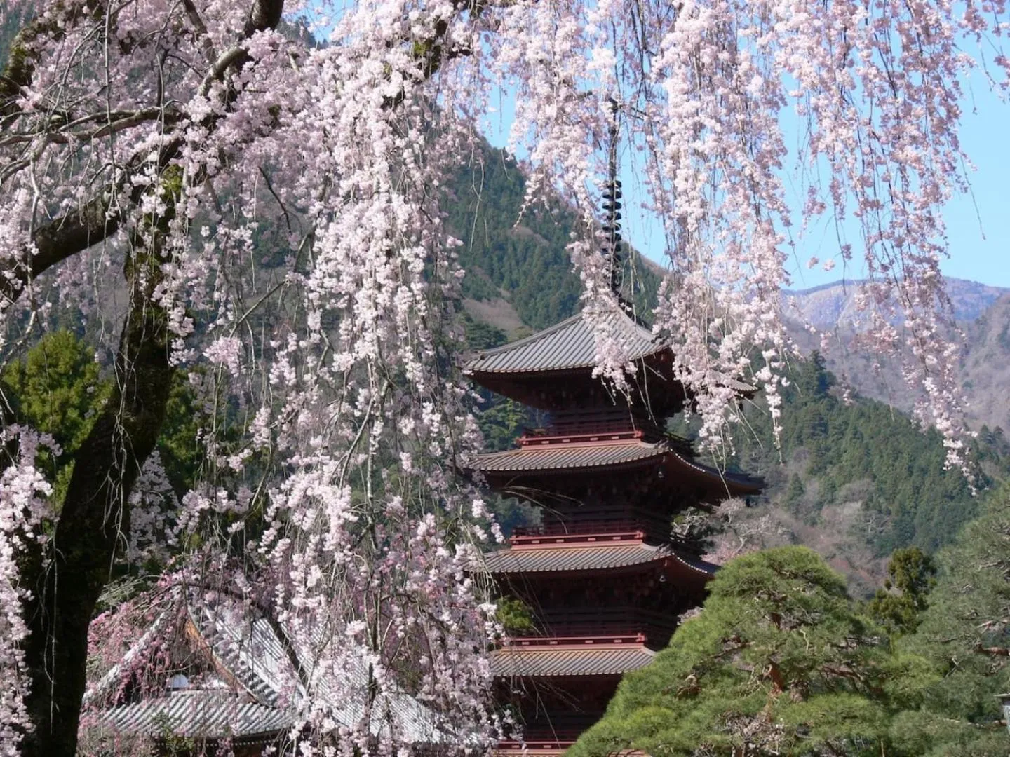 Property building in 宿坊 端場坊｜Temple Hotel Habanobo