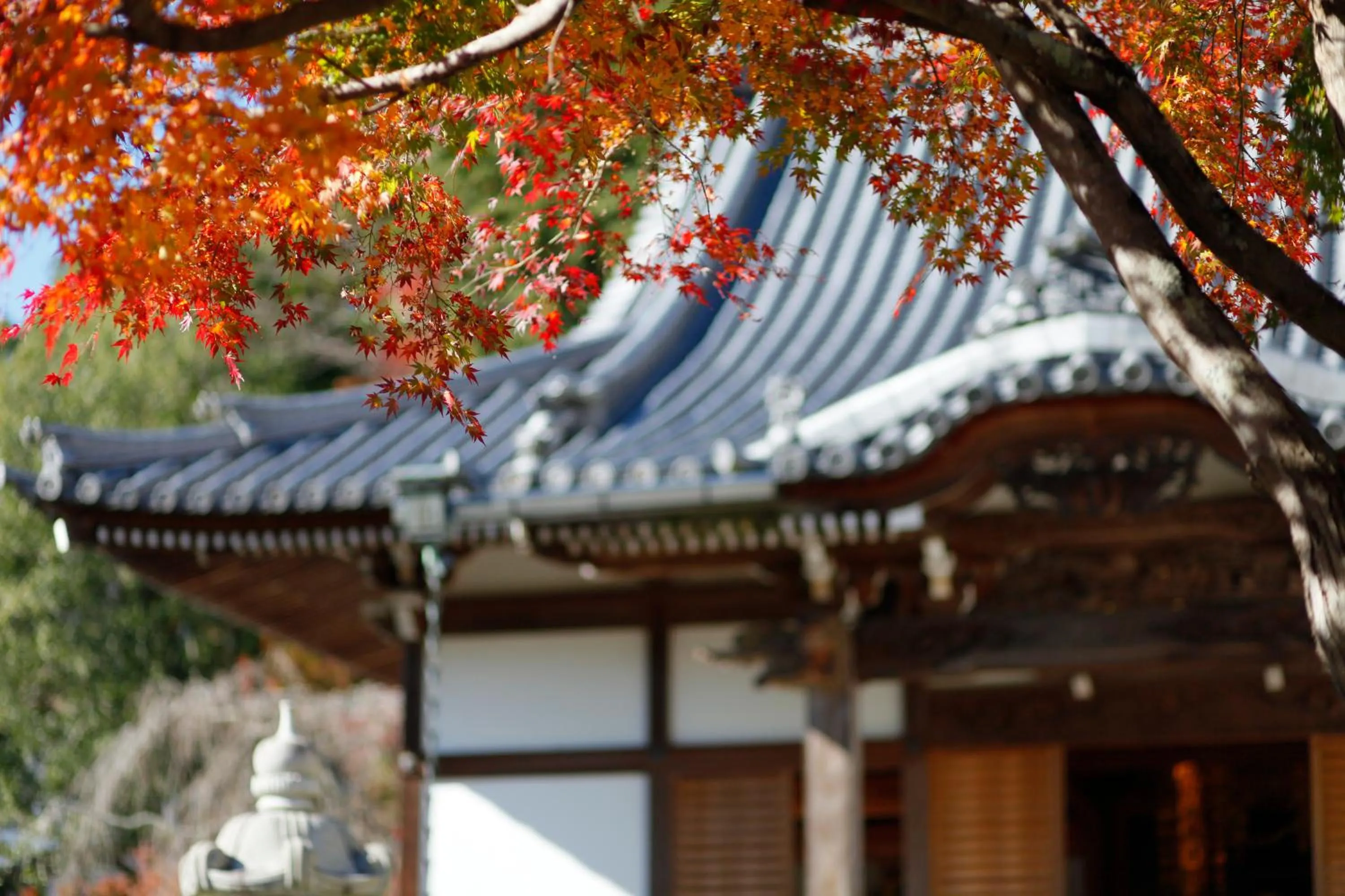 Property building in 宿坊 端場坊｜Temple Hotel Habanobo