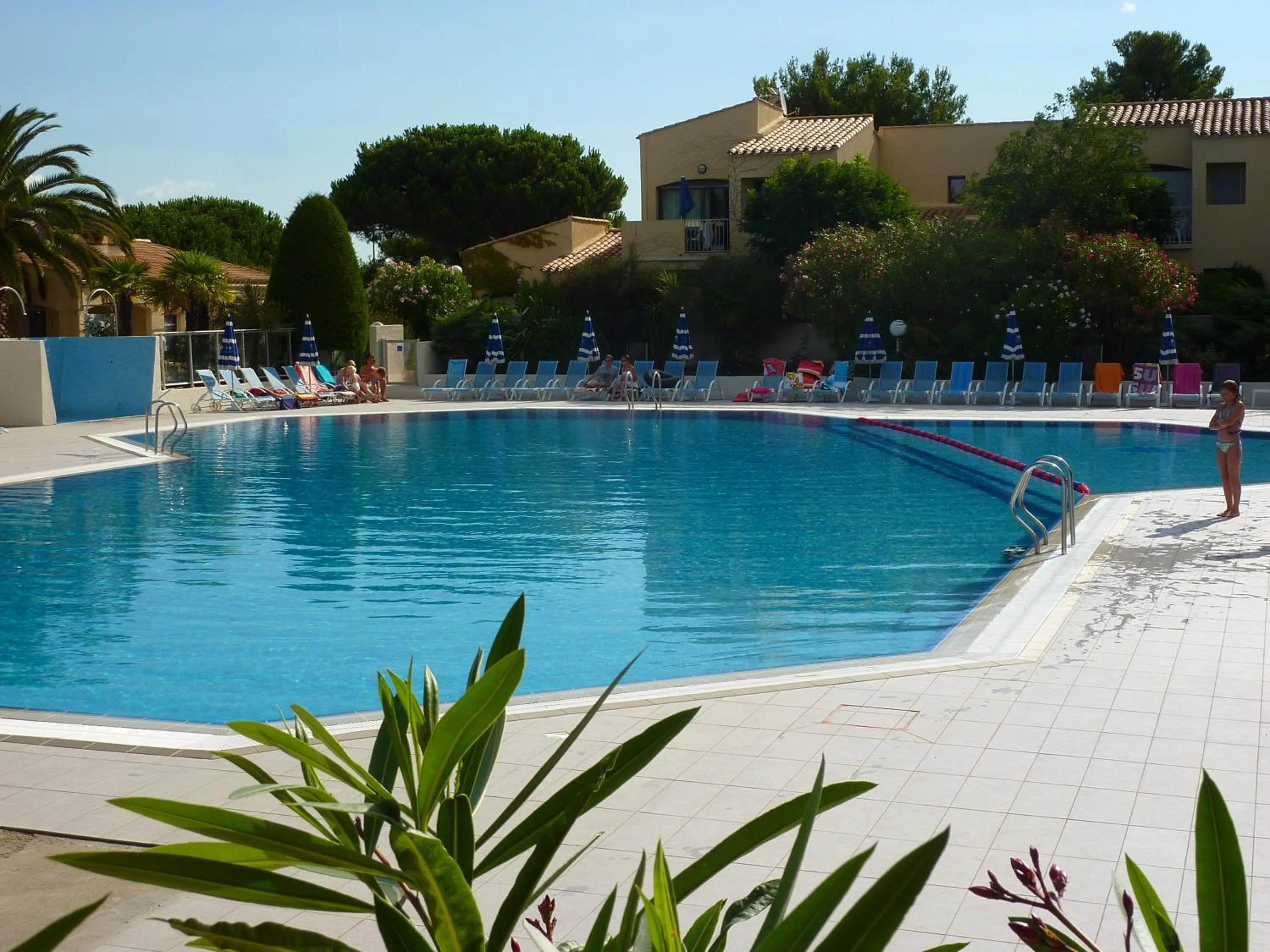 Swimming pool in Résidence Odalys Saint Loup
