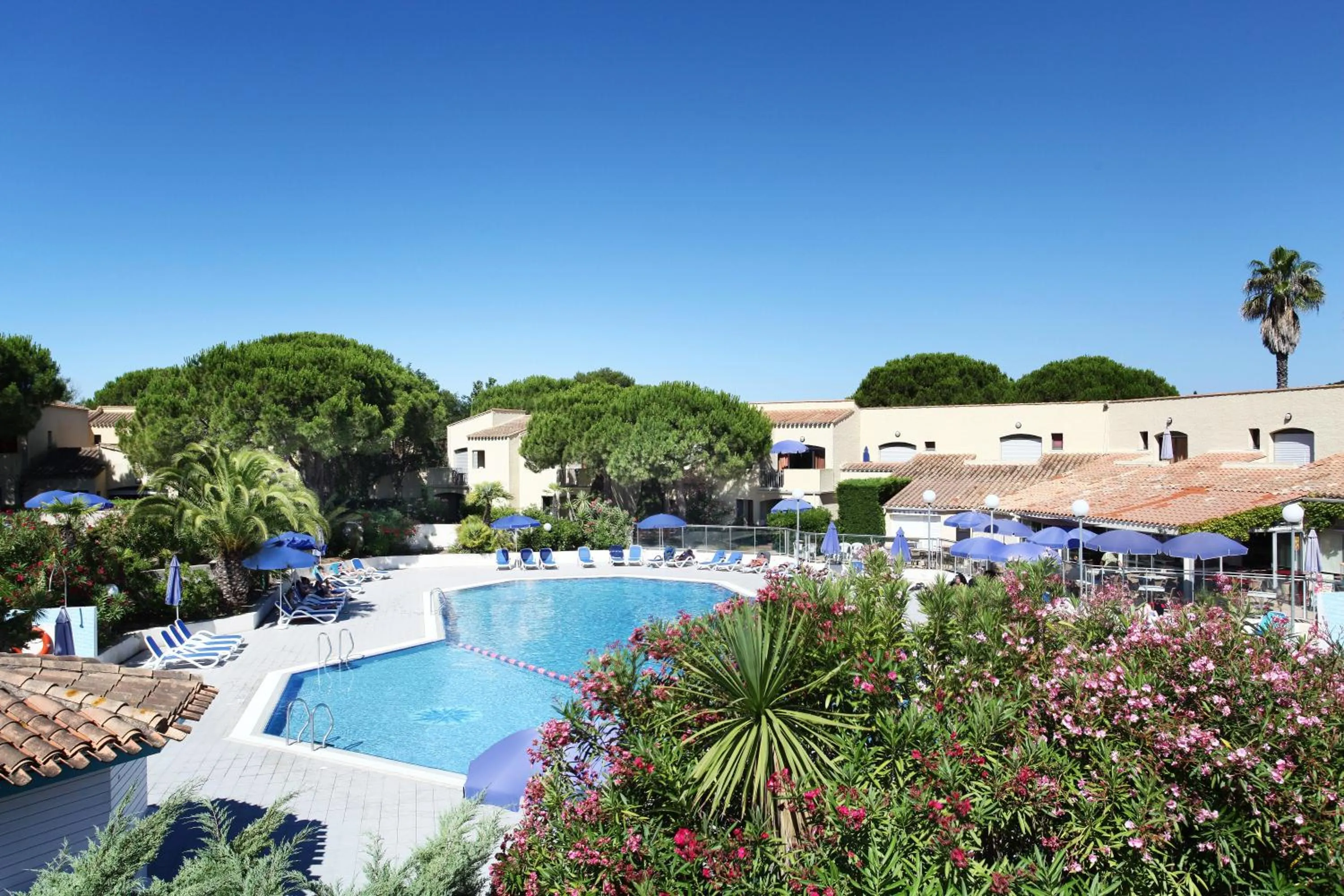 Swimming pool in Résidence Odalys Saint Loup