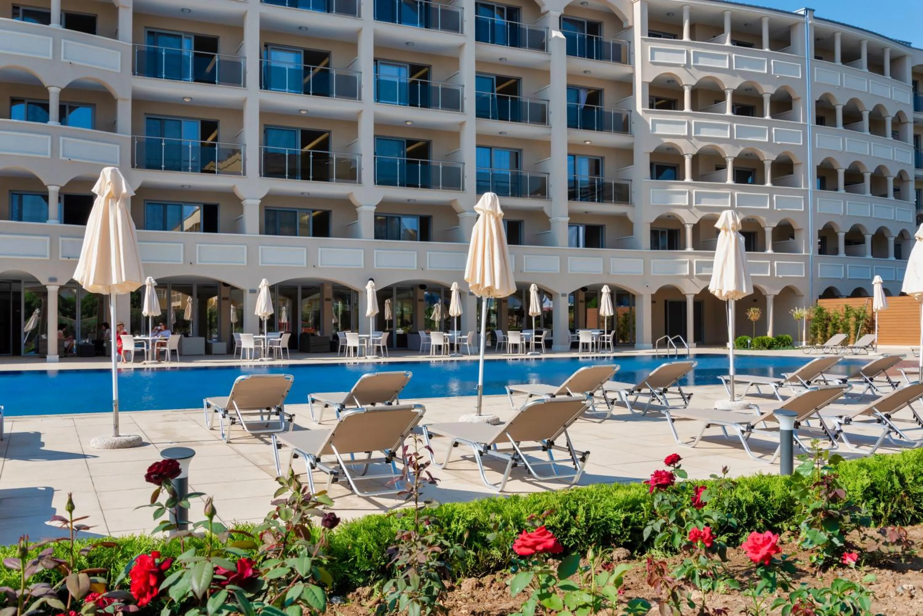 Swimming pool in Belvedere Hotel - All inclusive