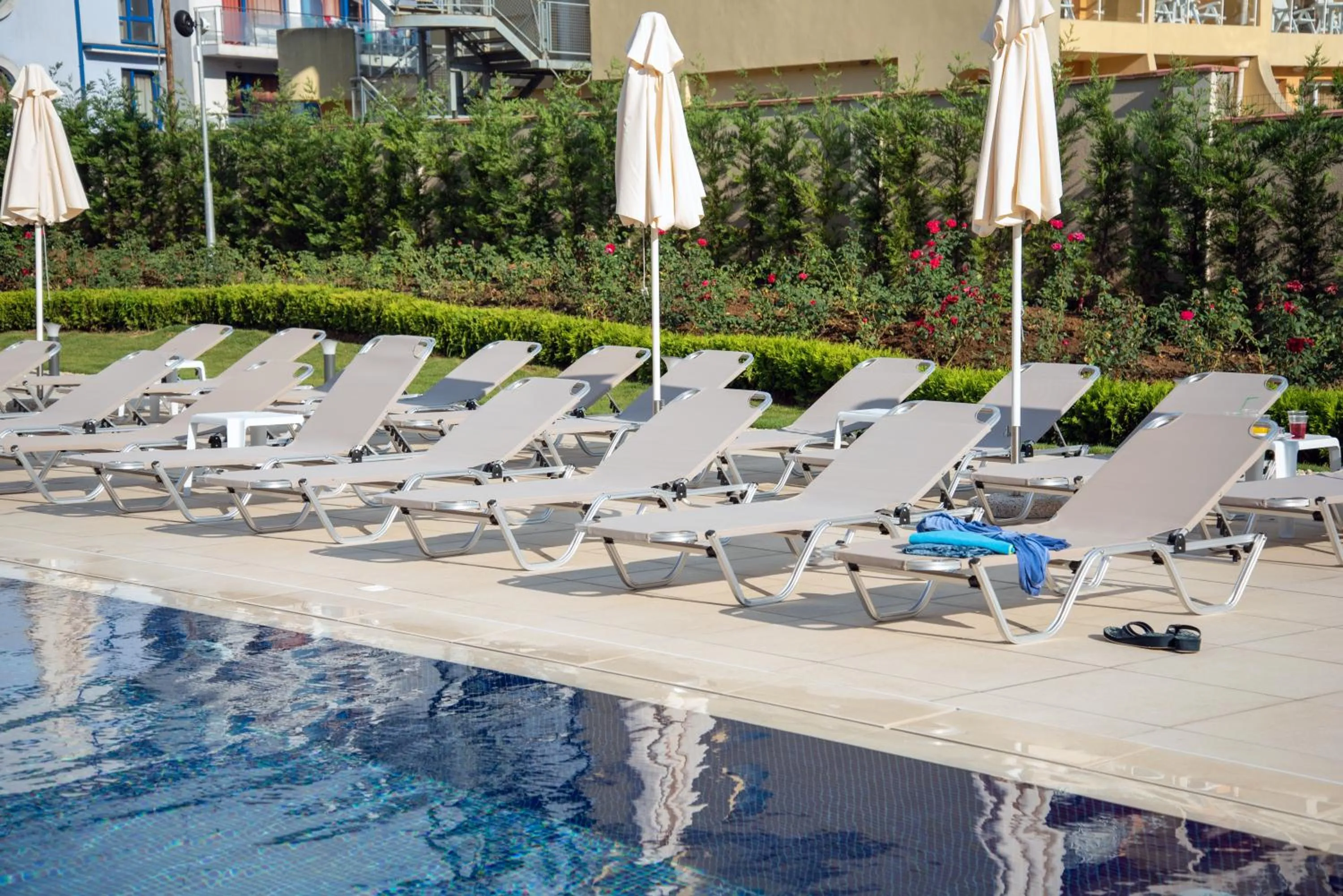 Swimming pool in Belvedere Hotel - All inclusive