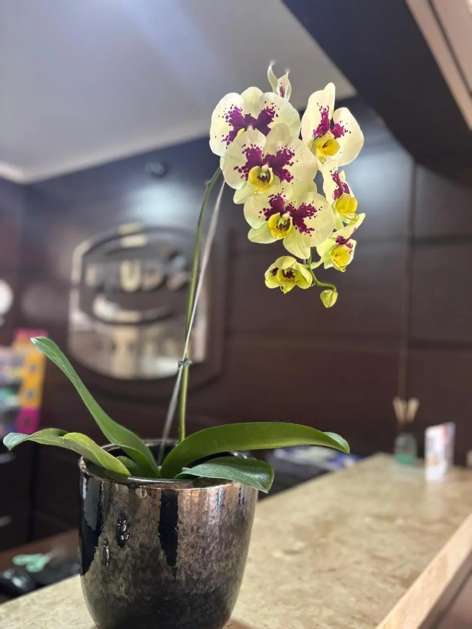 Lobby or reception in Druds Hotel