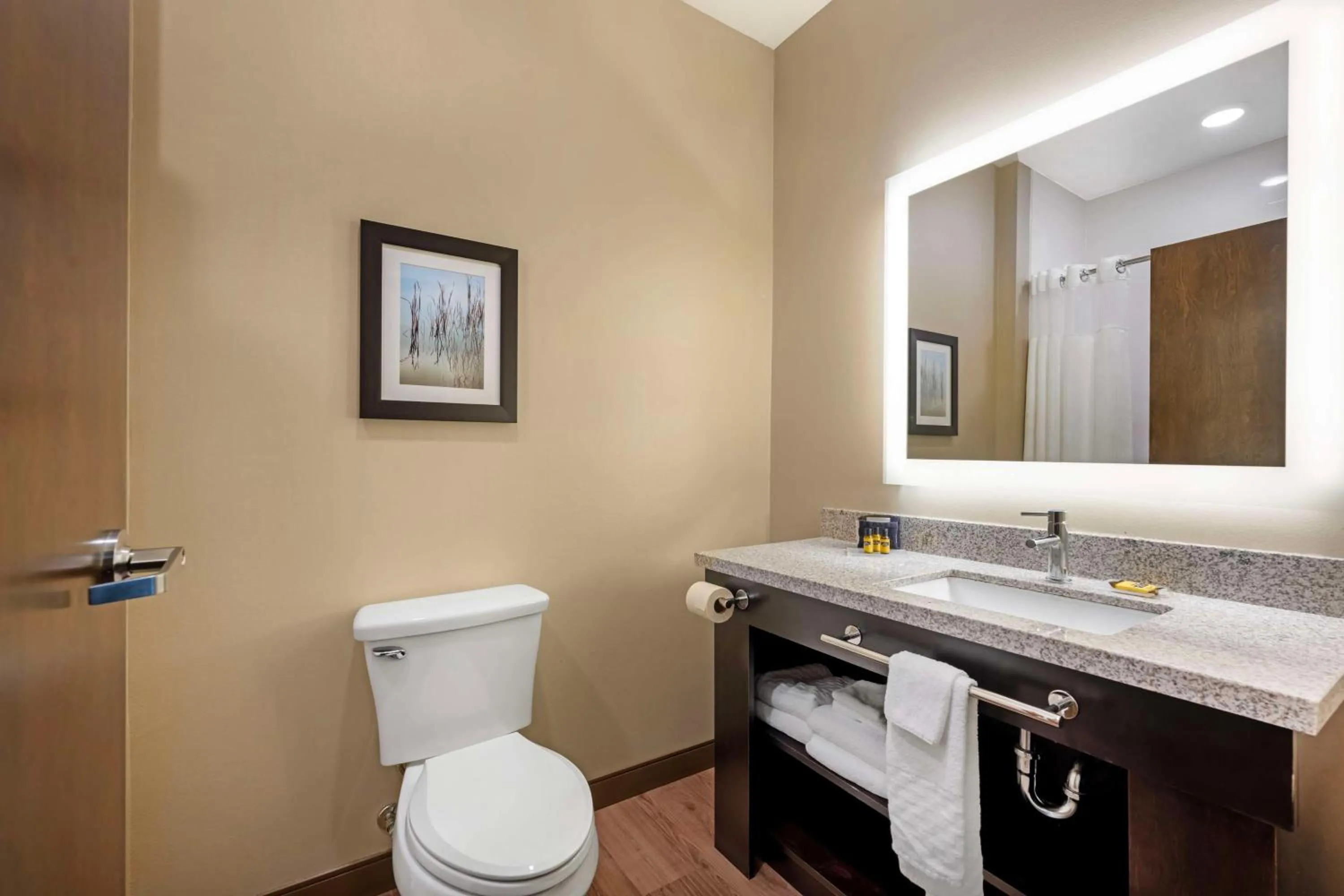 Bathroom in Best Western Plus Lakeview Hotel