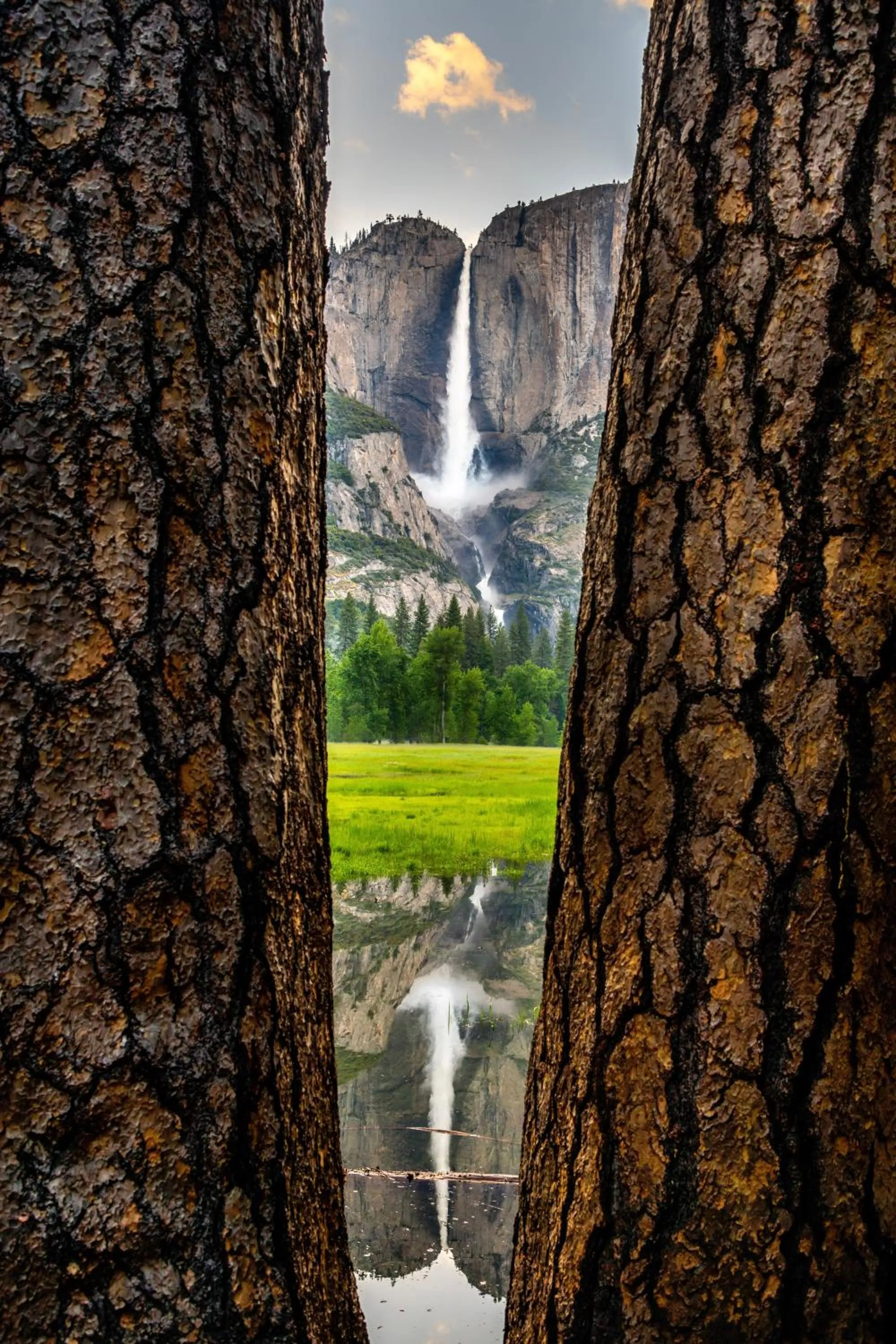 Nearby landmark in Yosemite Valley Lodge