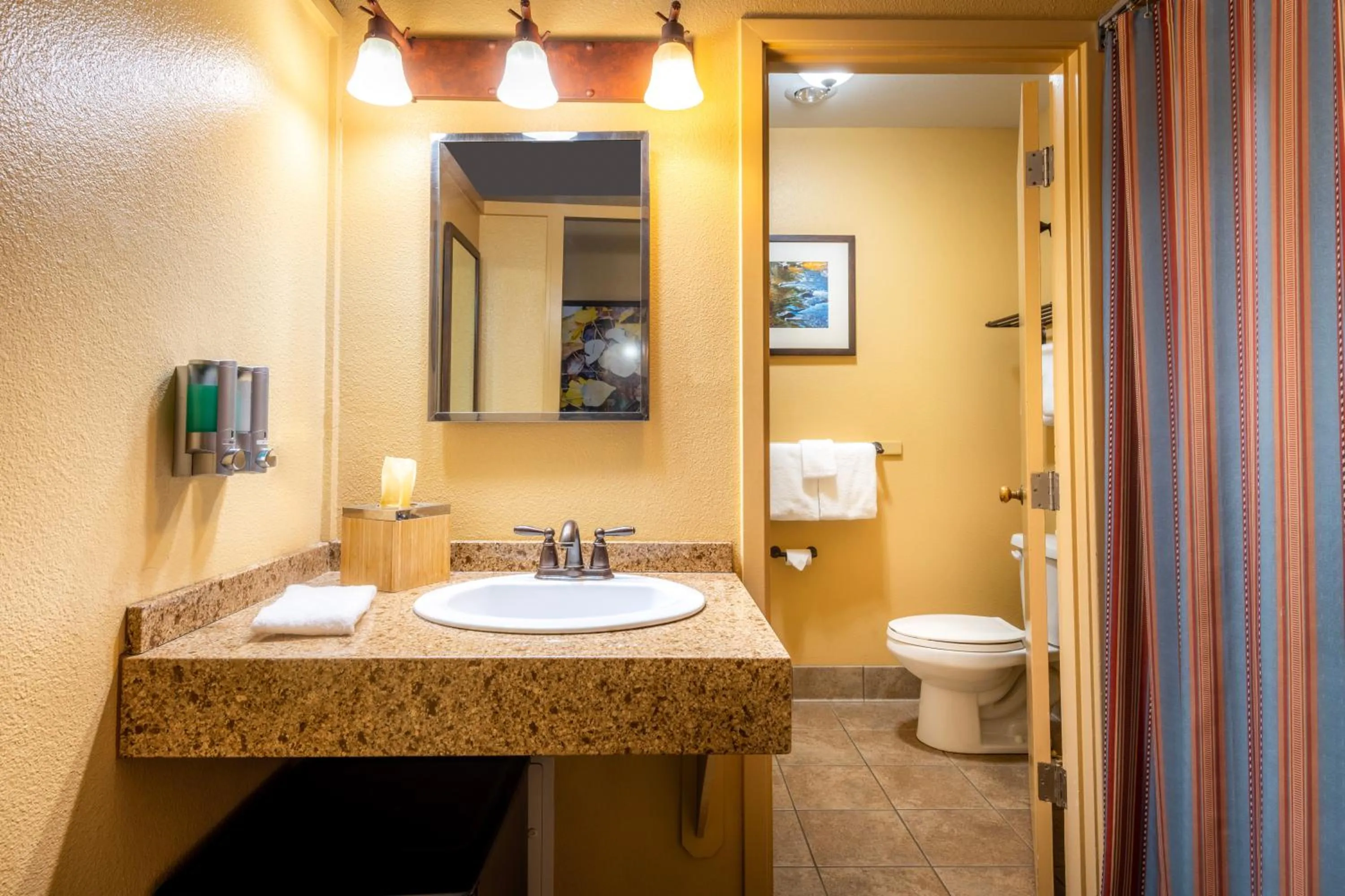 Toilet in Yosemite Valley Lodge