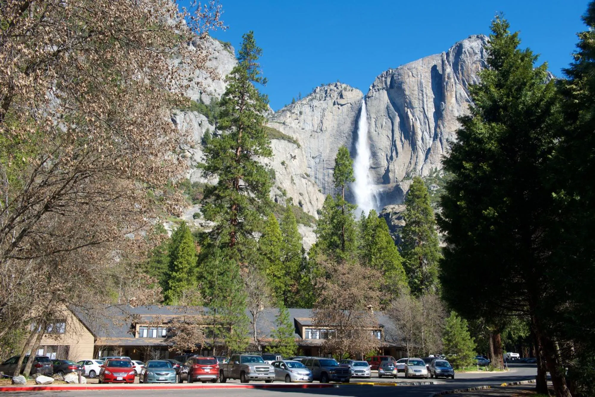Property building in Yosemite Valley Lodge