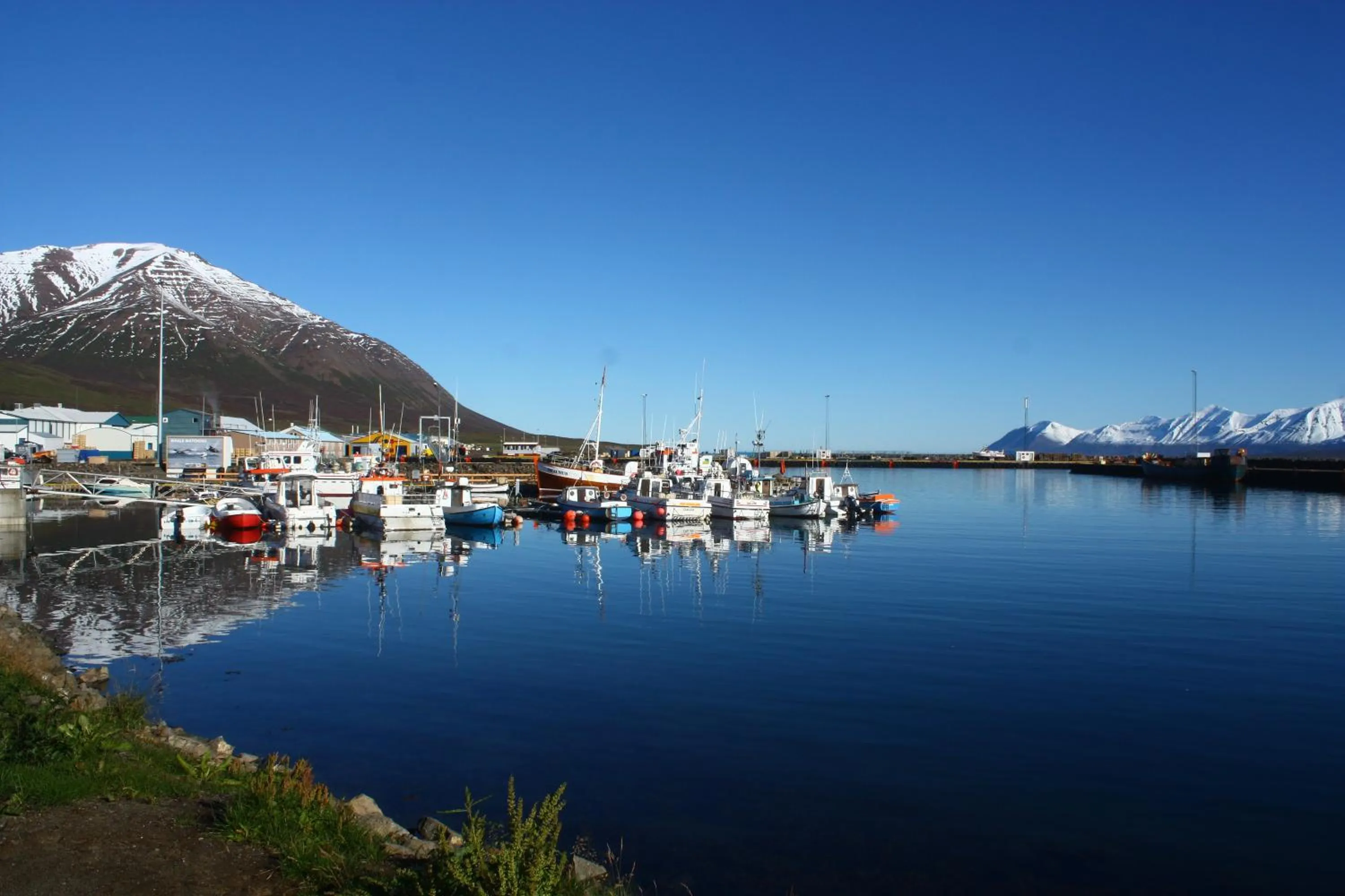 Summer in Dalvík Hostel Gimli