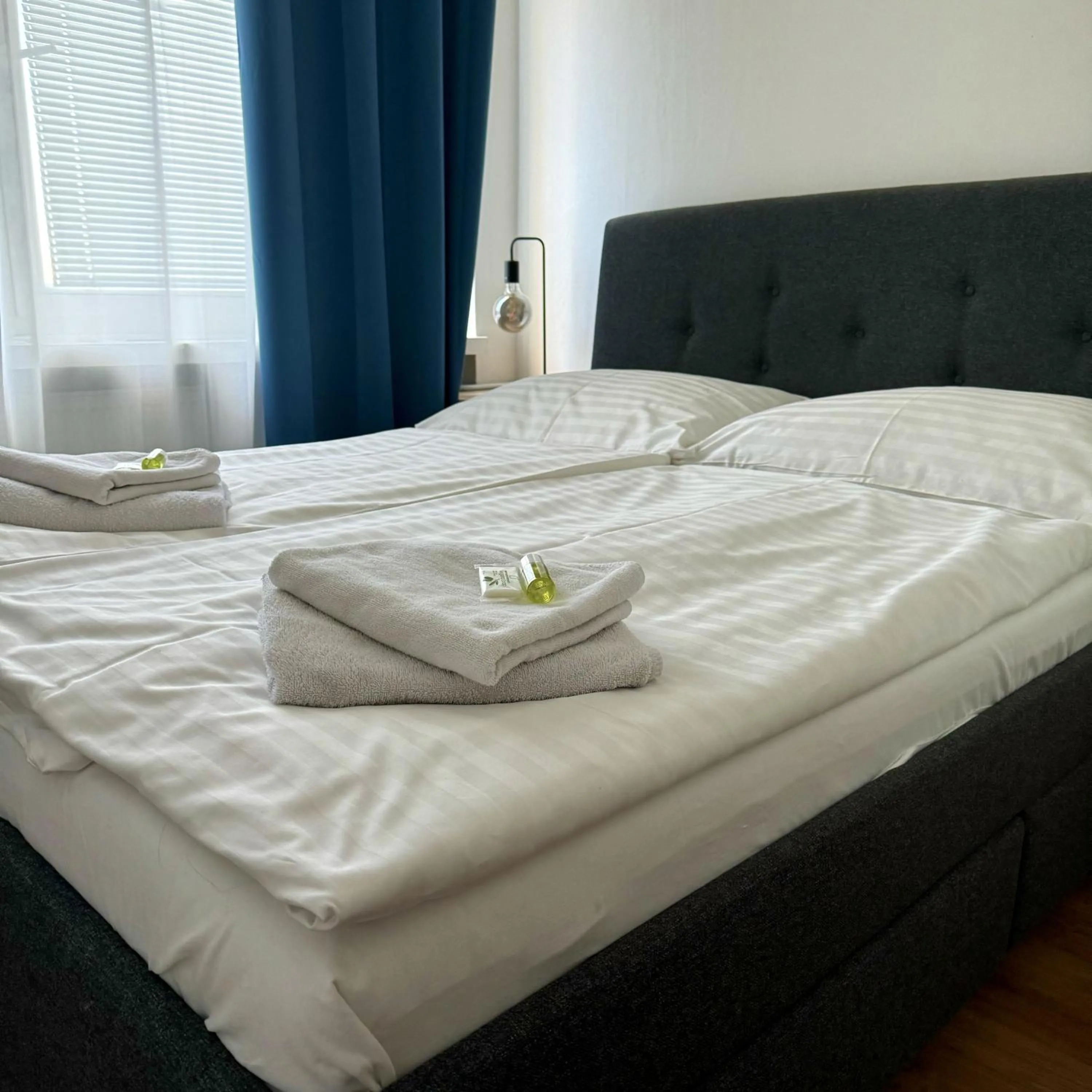 Photo of the whole room, Bed in Hotel Avion