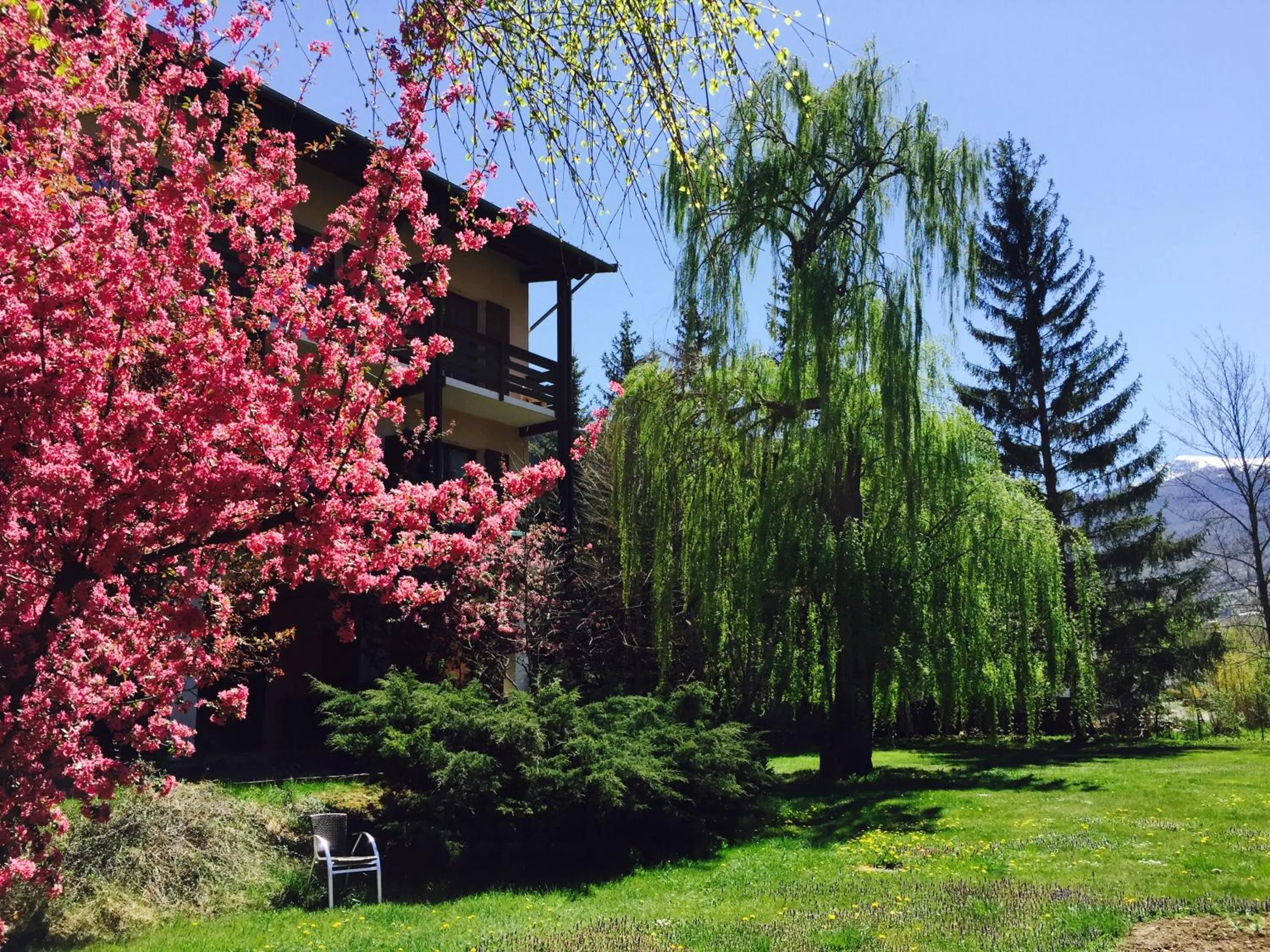 Garden view in Hôtel Lacour
