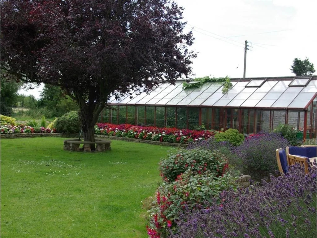 View (from property/room) in Double-Gate B&B