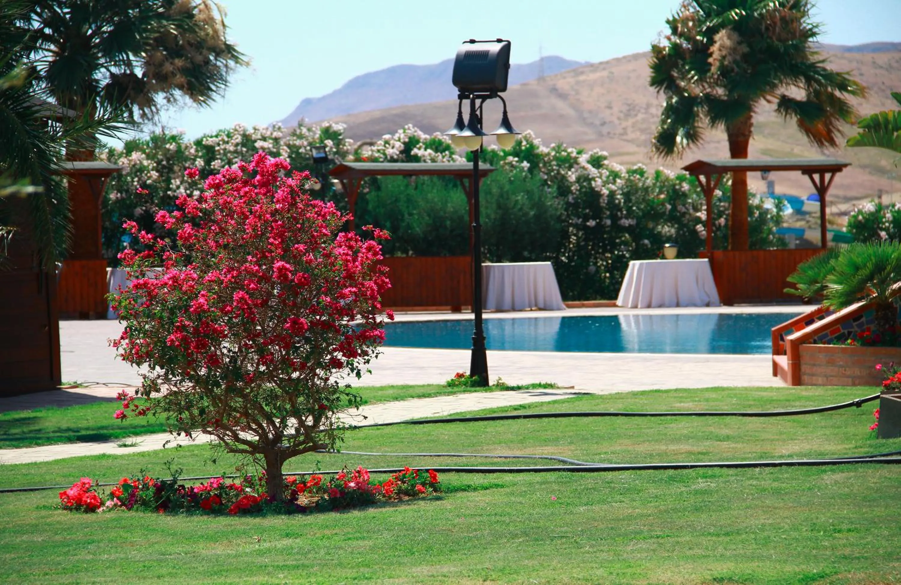 Garden in Desusino Residence & Hotel