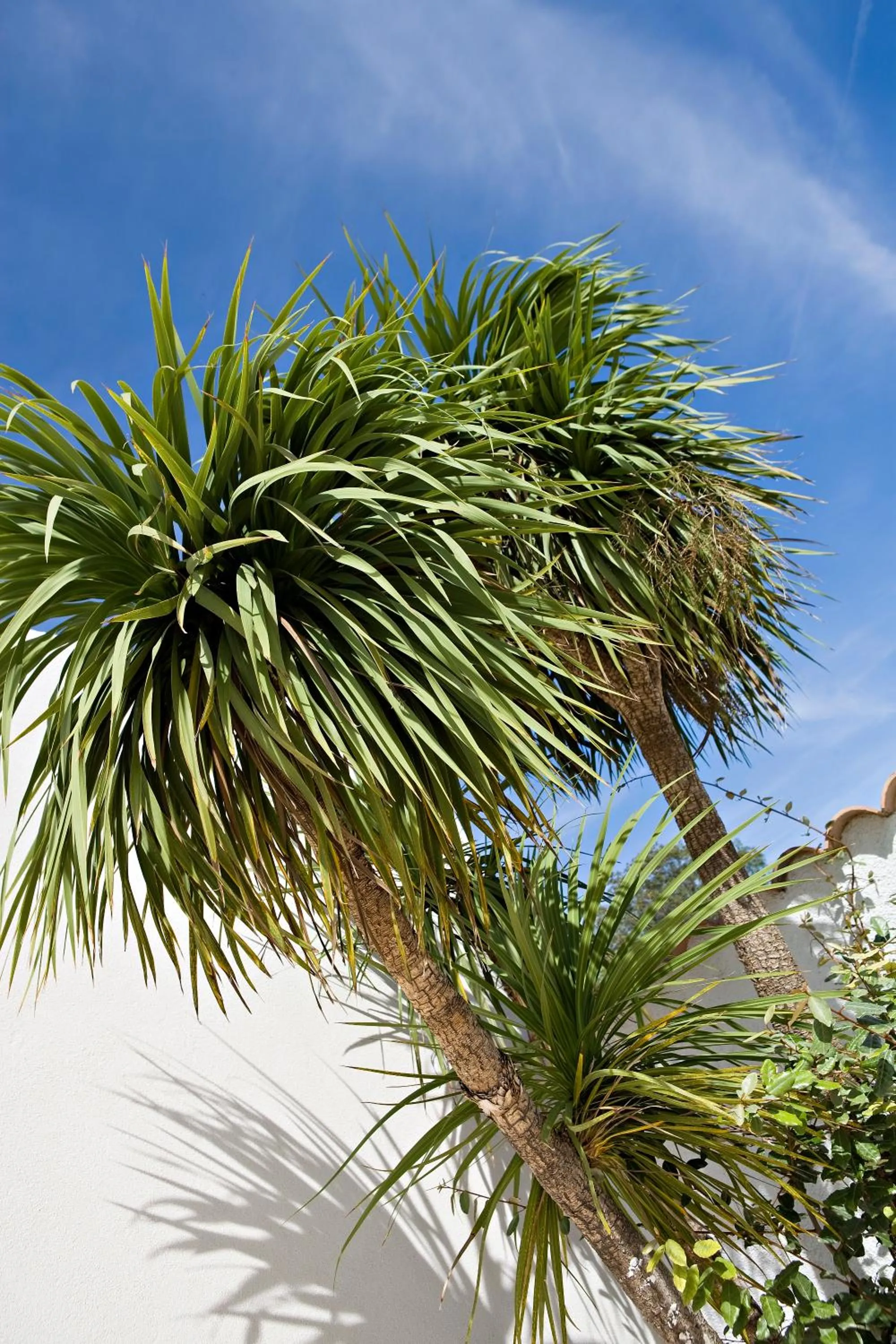 Patio in Vacancéole - Résidence Carré Marine