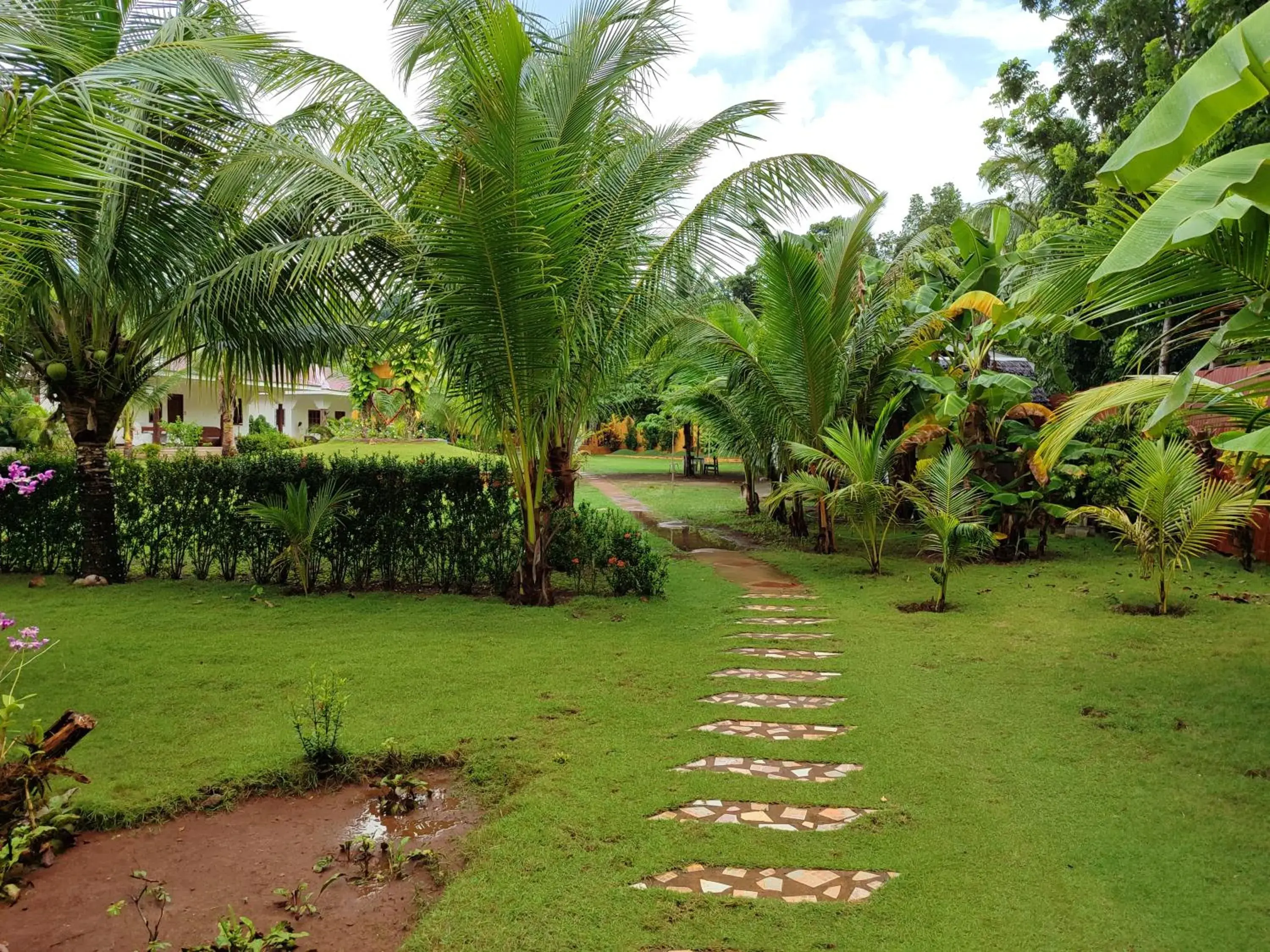 Cottage with Garden View in E&N Paradise Island Resort Cottage with Garden View in E&N Paradise Island Resort