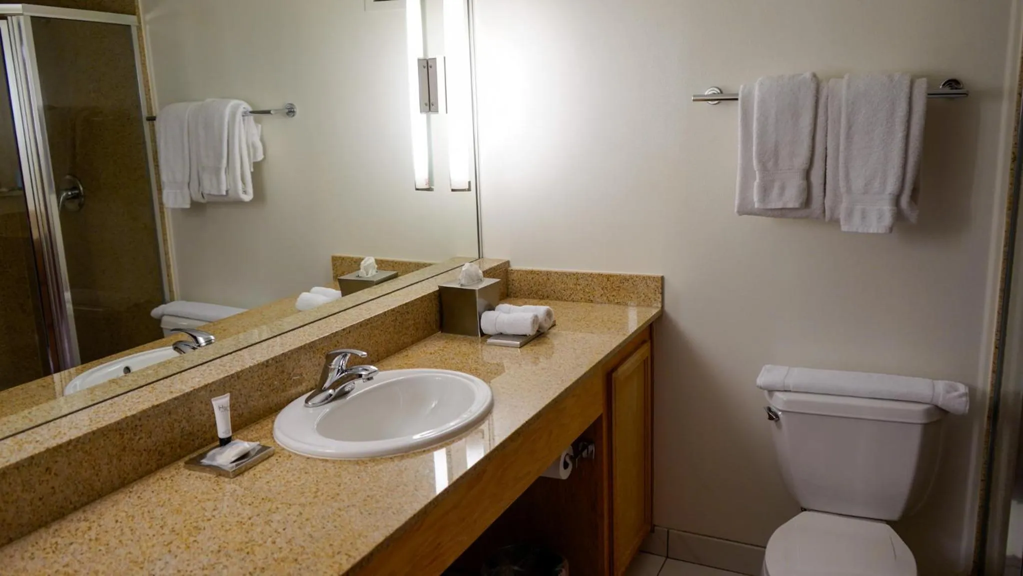 Bathroom in Downtown Grand Hotel & Casino