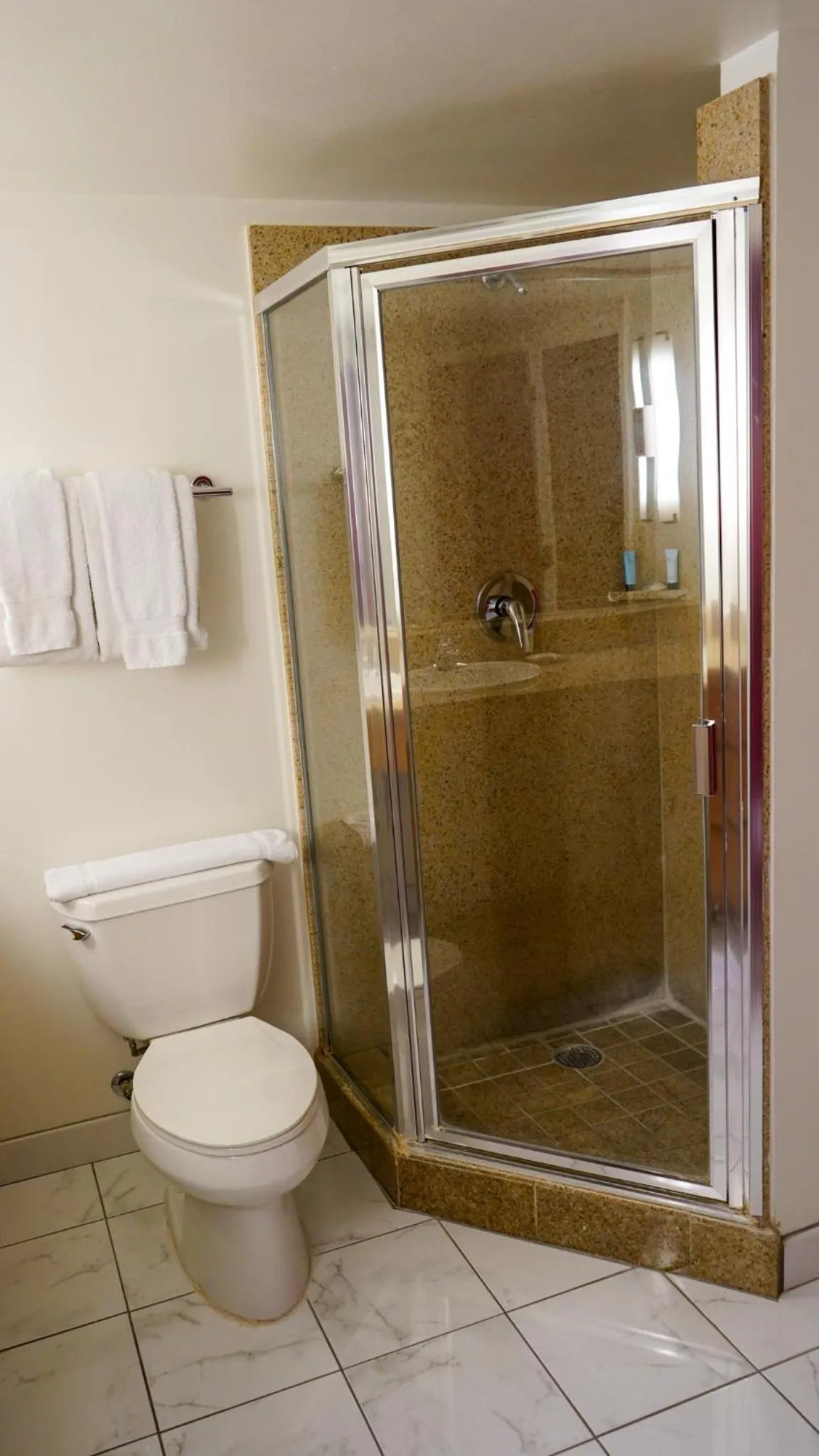 Bathroom in Downtown Grand Hotel & Casino