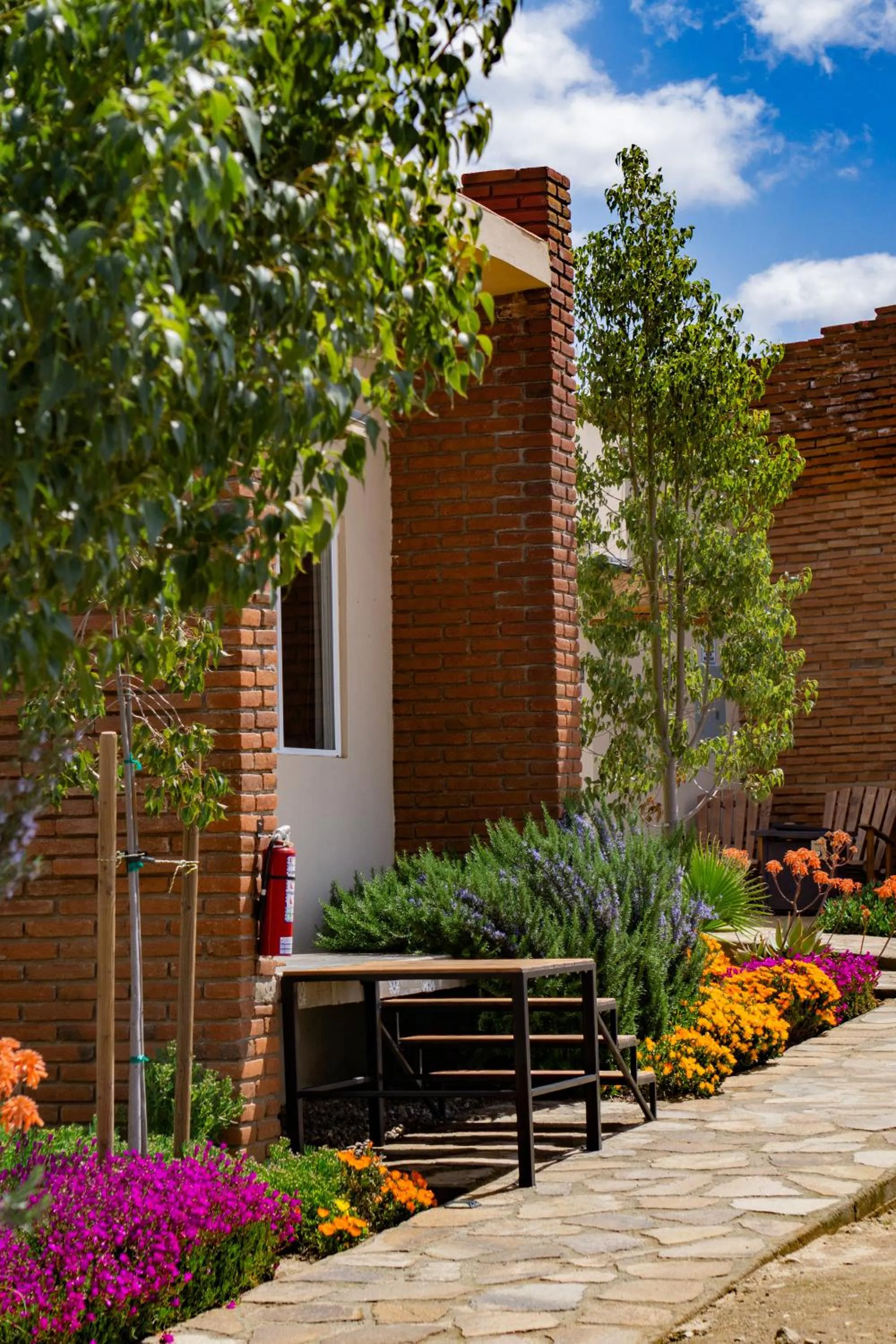 Garden view in OJO AZUL RESORT
