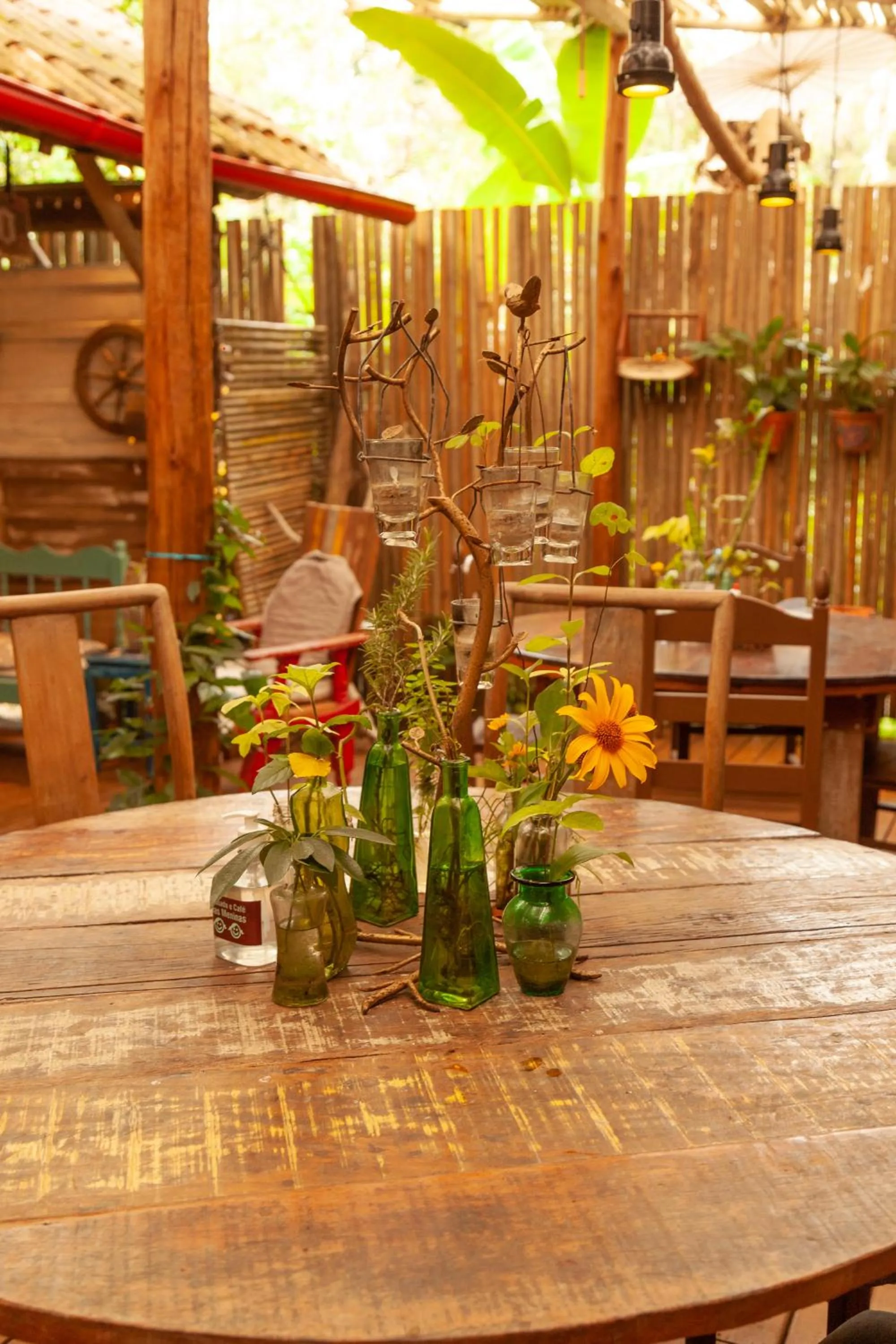 Garden in Pousada das Meninas