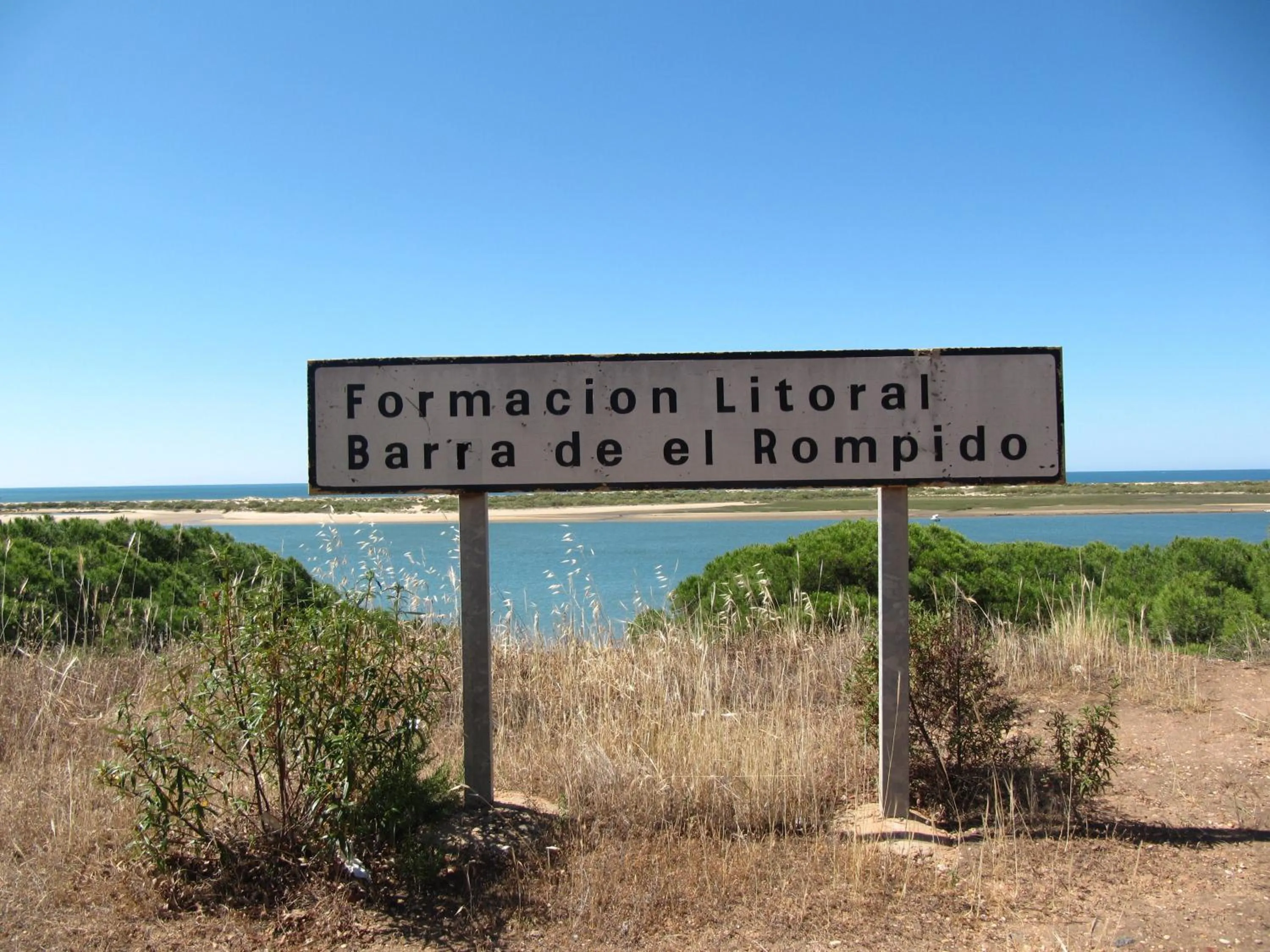 Area and facilities in Life Apartments El Rompido