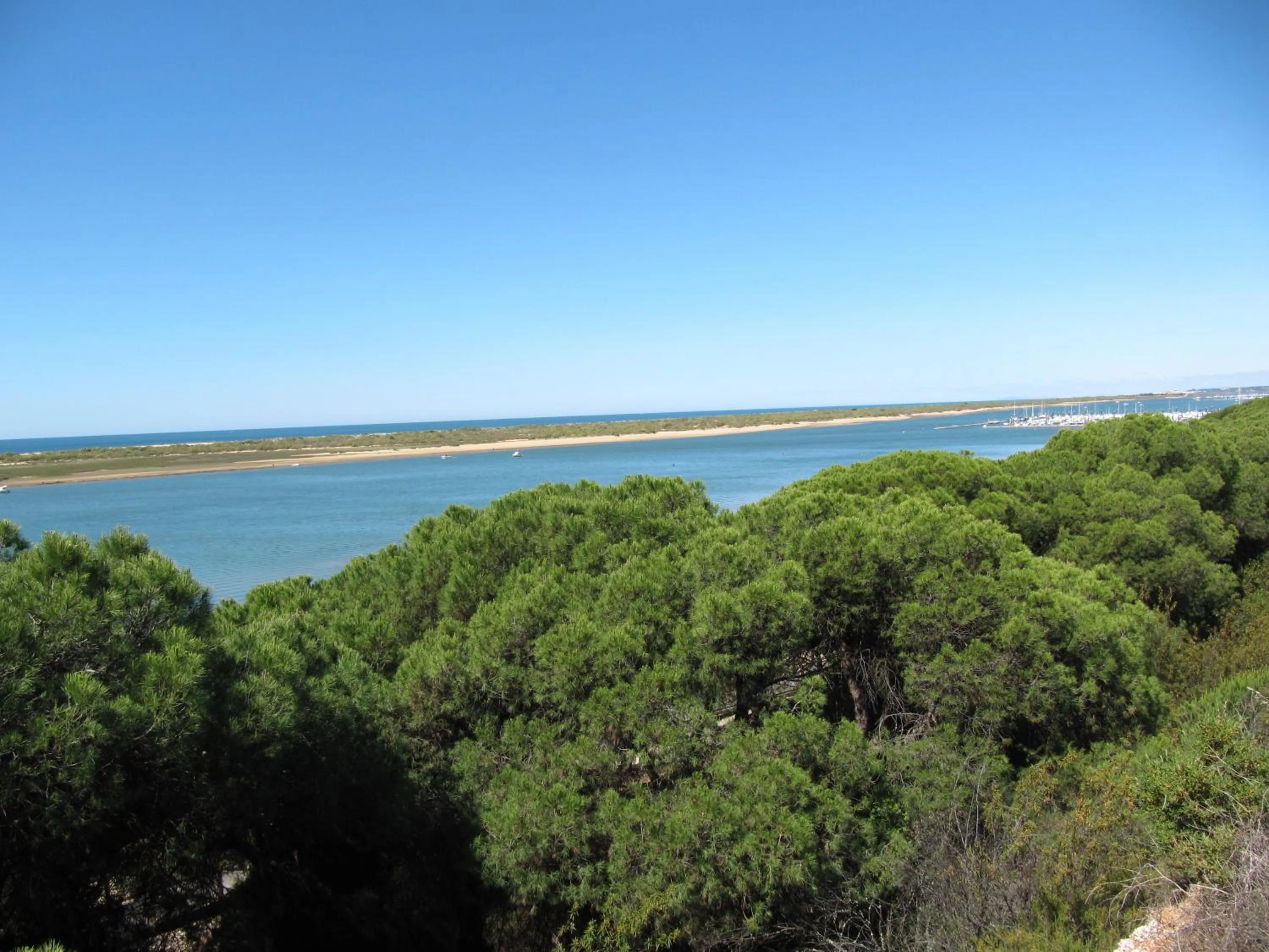 Area and facilities in Life Apartments El Rompido