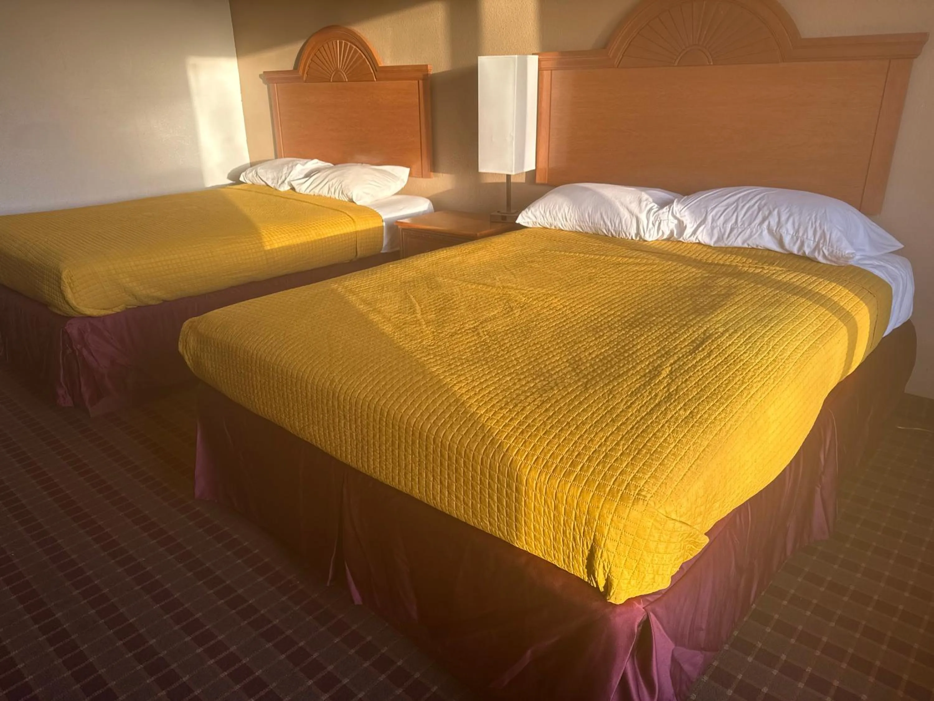 Bed in Express Inn & Suites