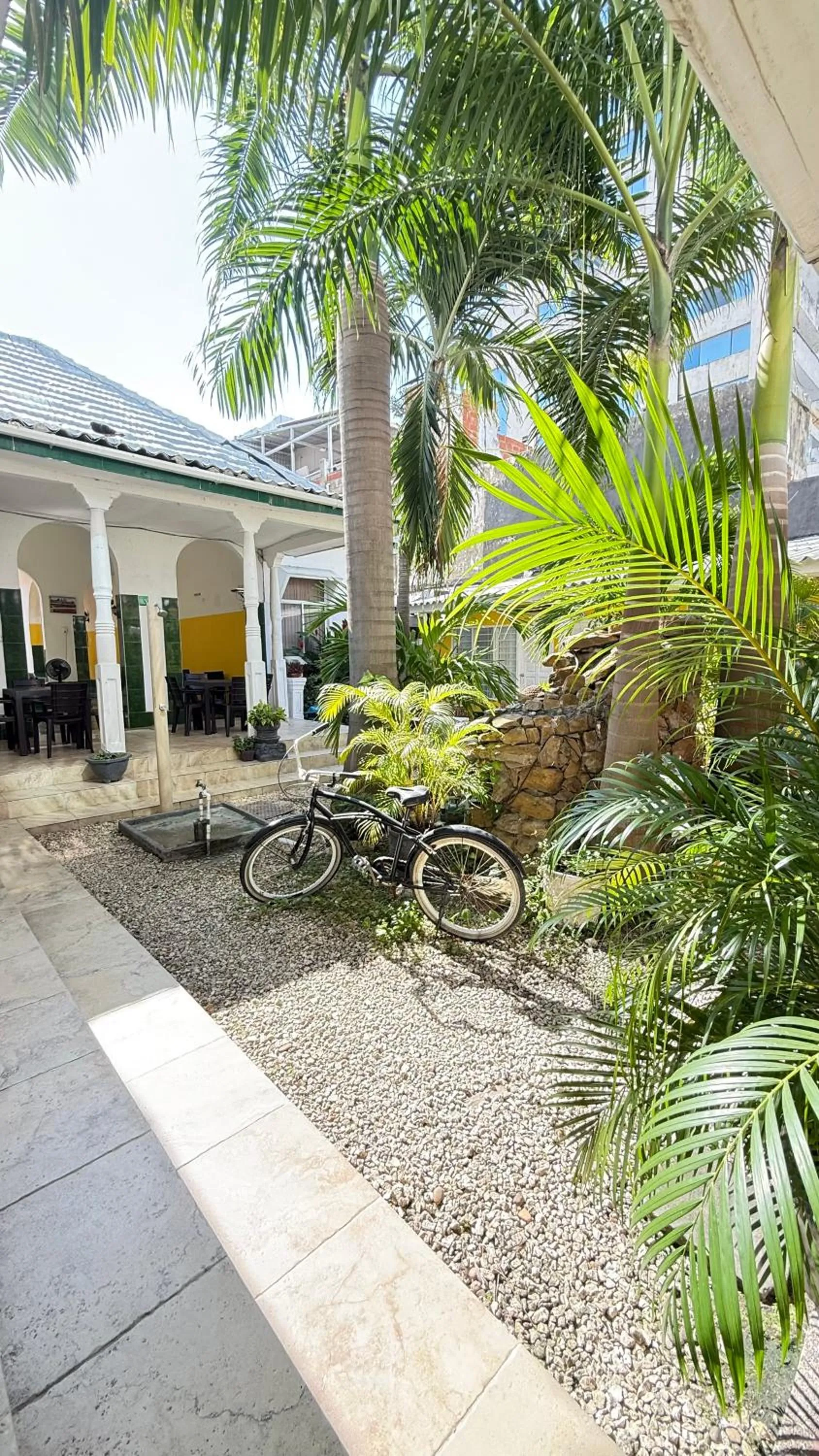 Garden in Hotel Balcones de Bocagrande