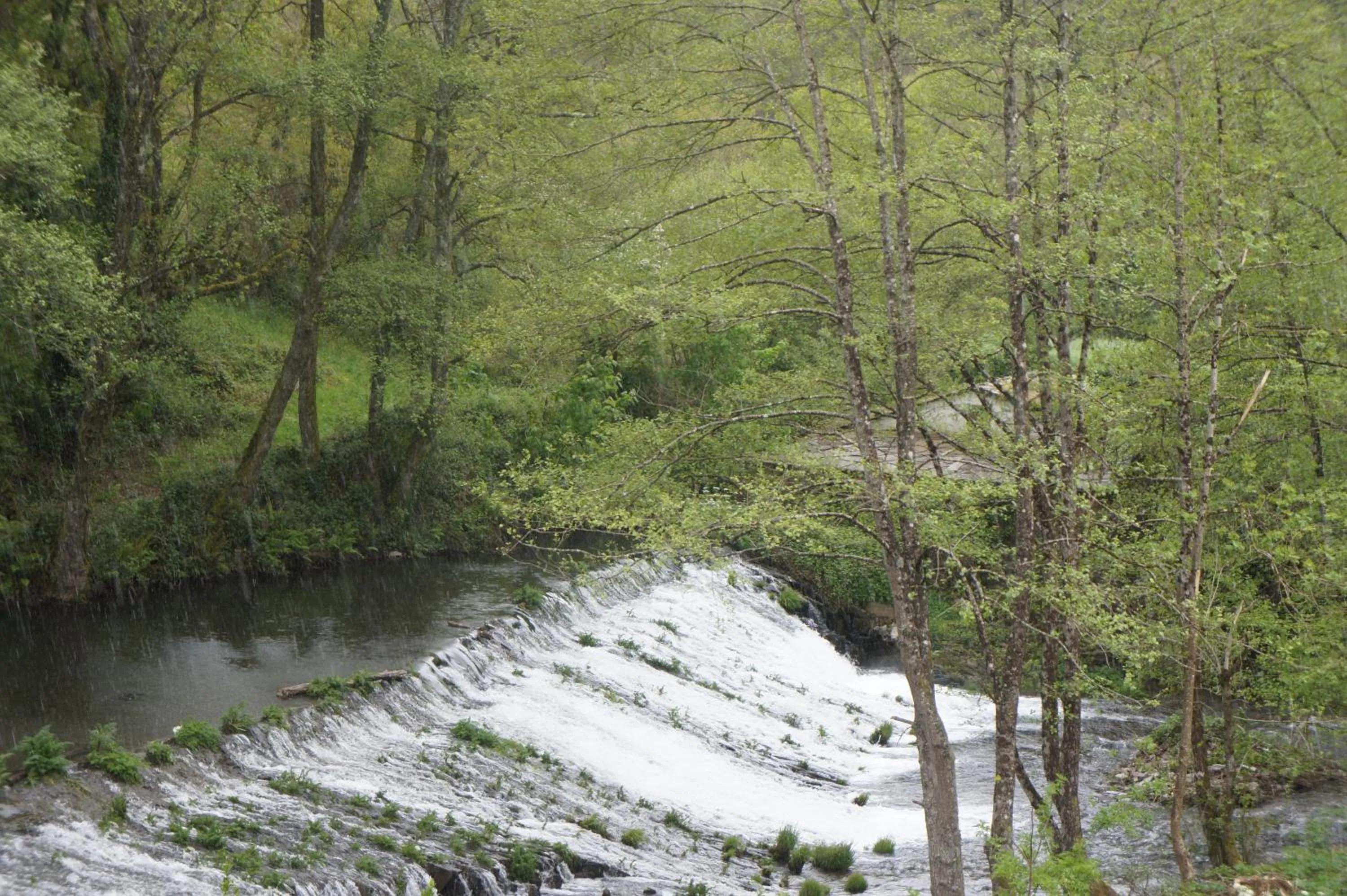 View (from property/room) in Hotel A Veiga