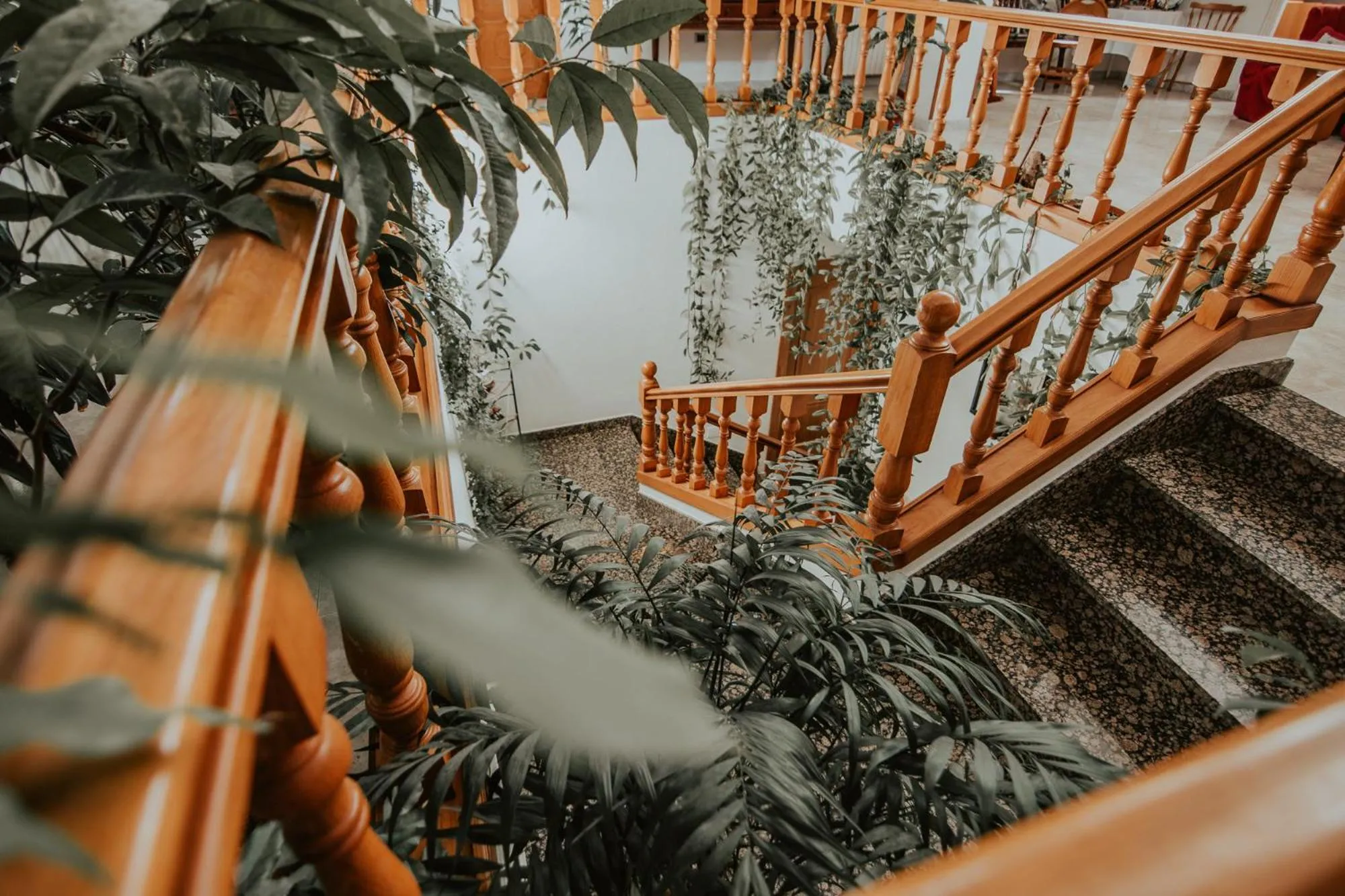 Other in Hotel A Veiga