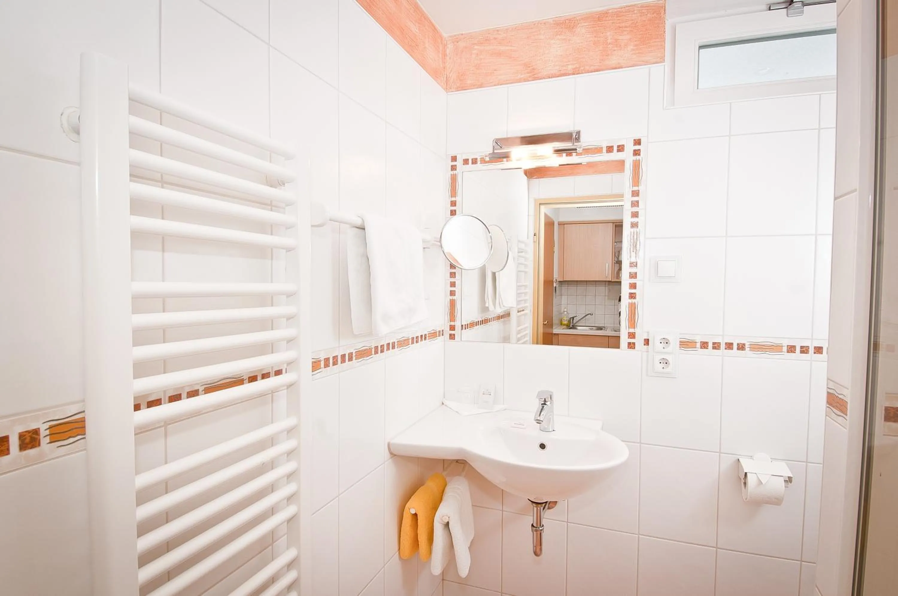 Apartment - single occupancy in Aparthotel Grabner