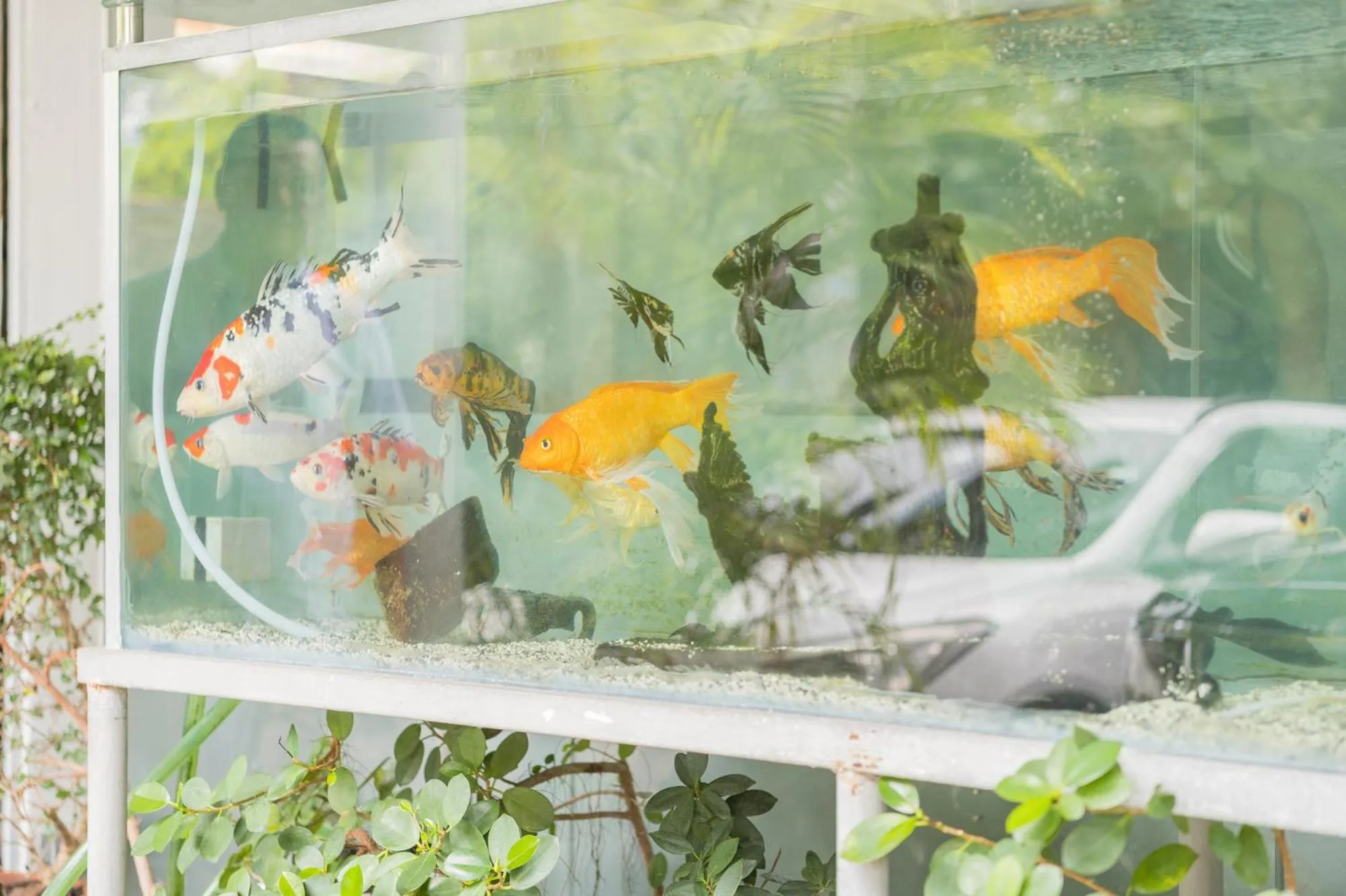 Hostal San Francisco de Asis